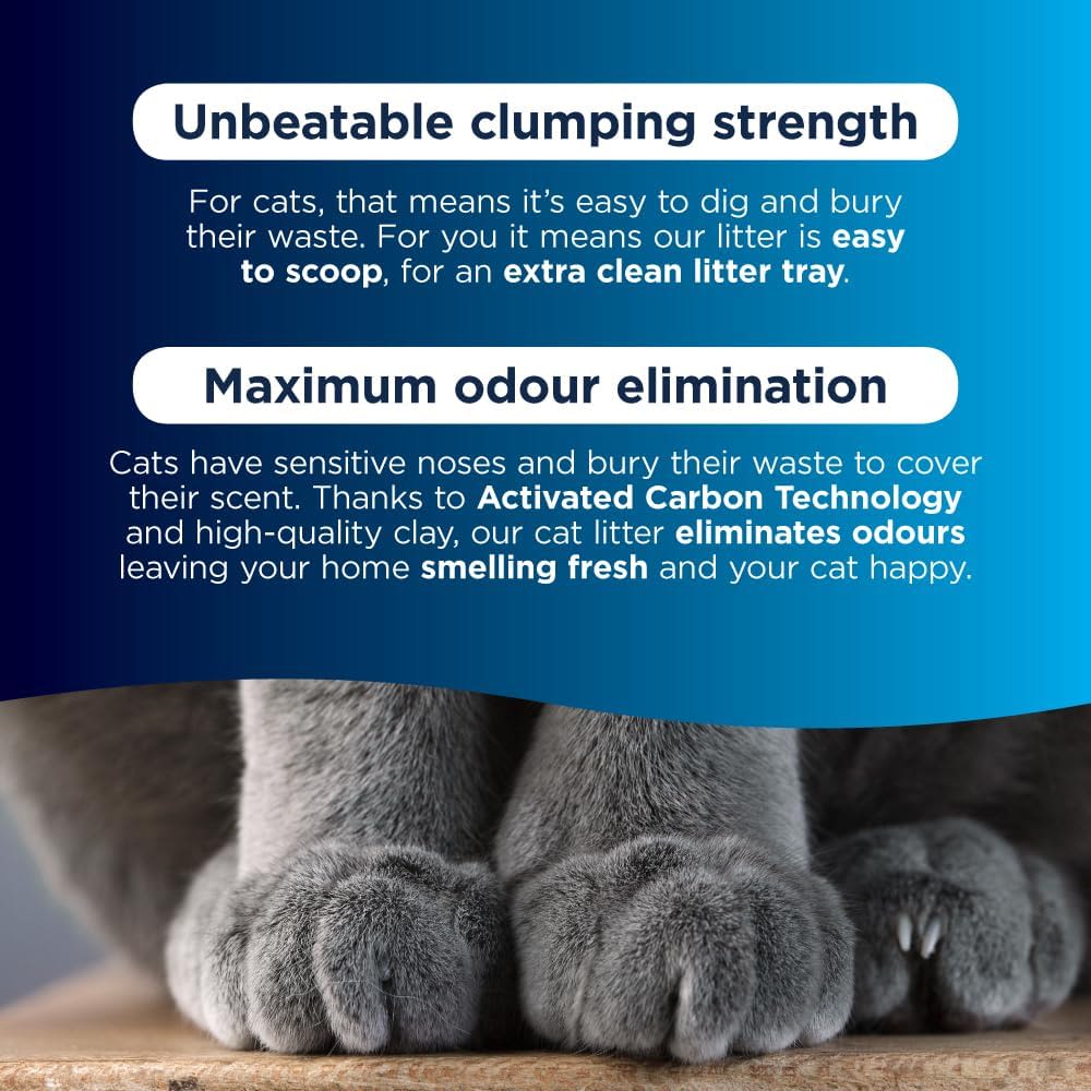 Ever Clean Extra Strength Scented Cat Litter - Image 3