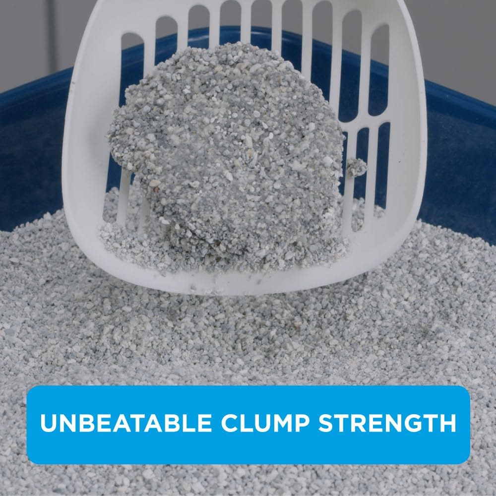 Ever Clean Extra Strength Scented Cat Litter - Image 4