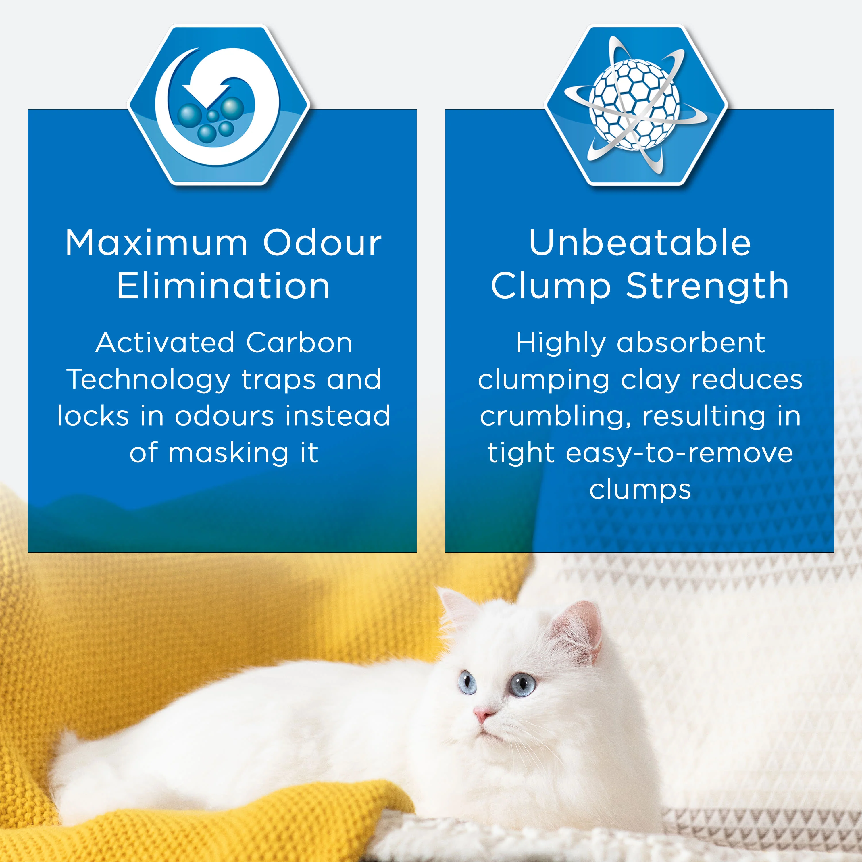 Ever Clean Extra Strength Un-Scented Cat Litter - Image 3