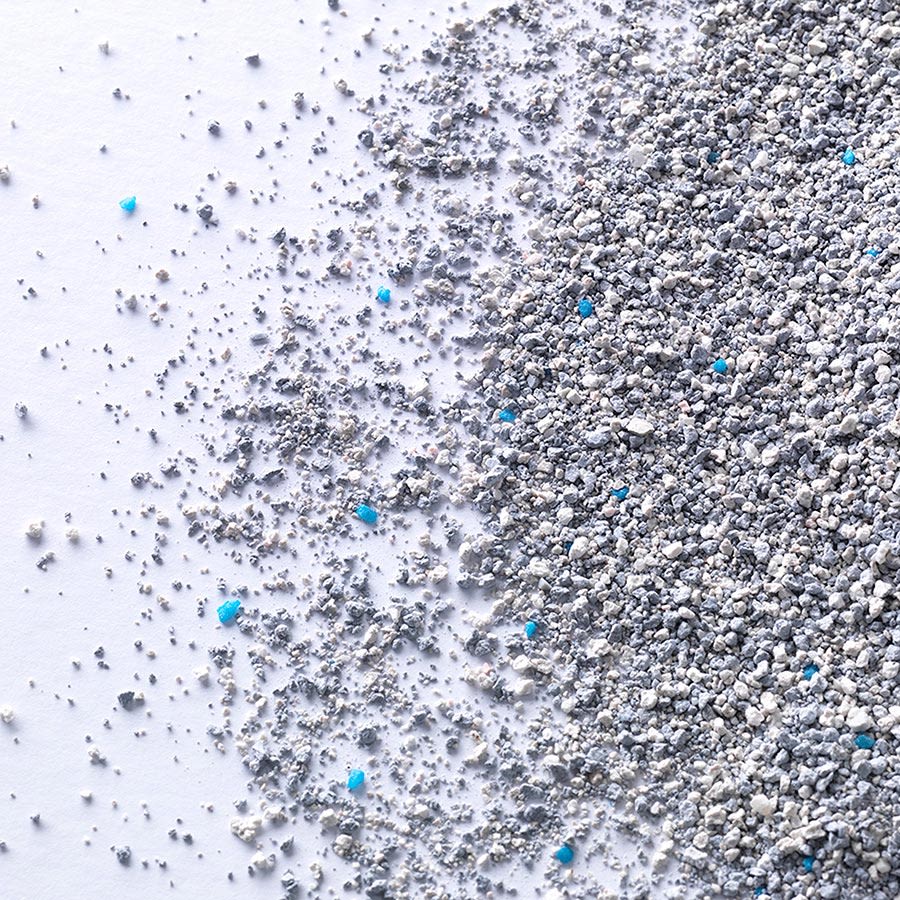 Ever Clean Spring Garden Cat Litter - Image 3