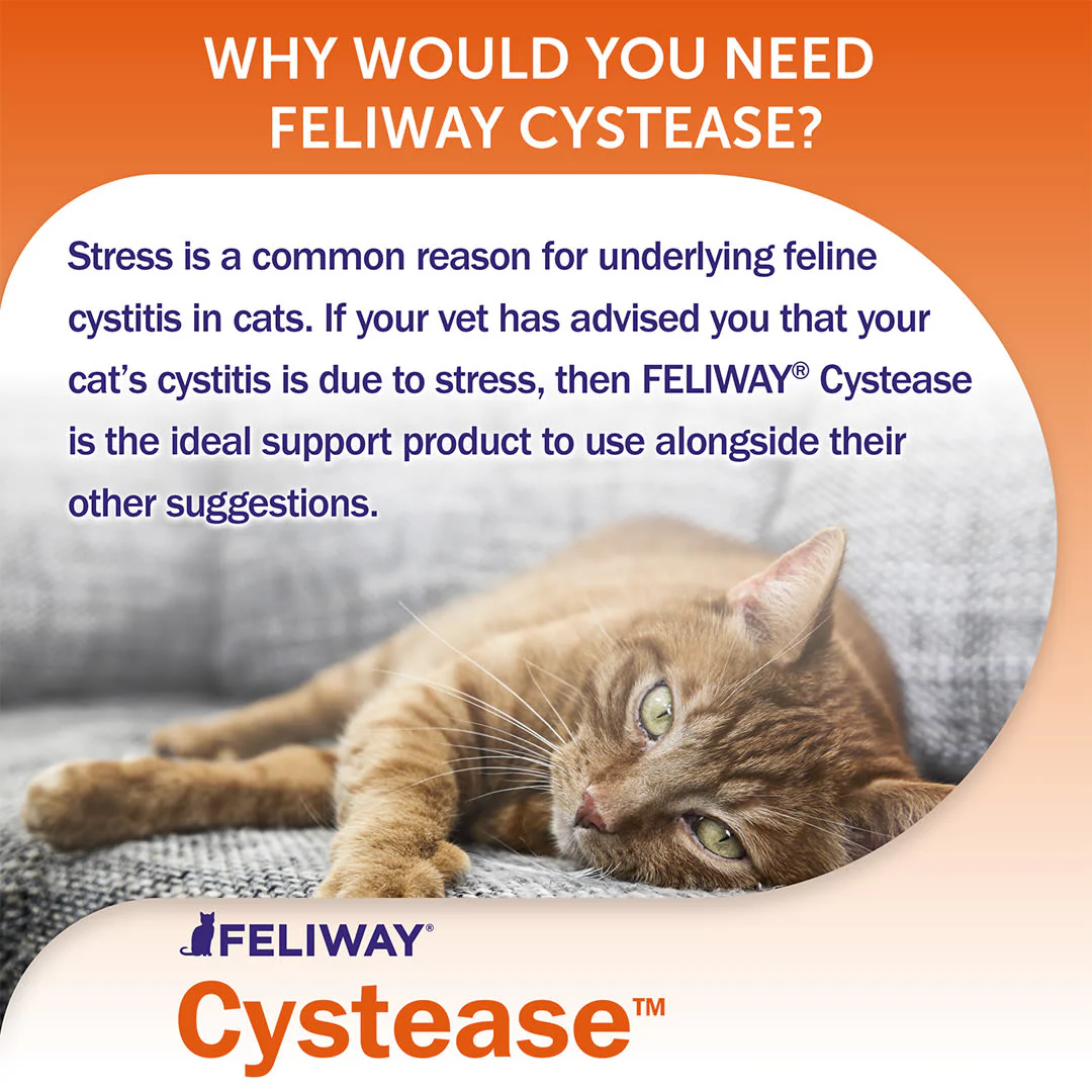 Feliway Cystease Advanced Urinary Tract Supplement - Image 4