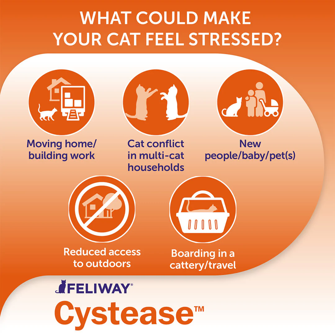 Feliway Cystease Advanced Urinary Tract Supplement - Image 5