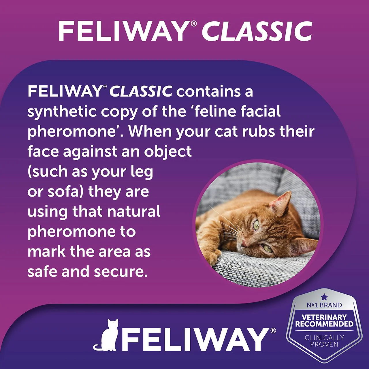 Feliway Refill Diffuser (30 Days) - Image 3