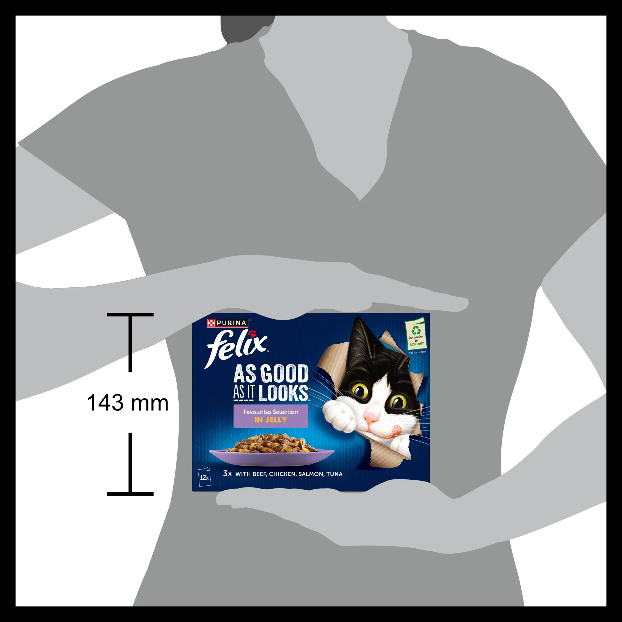 Felix As Good As it Looks Favourites Selection in Jelly Wet Cat Food - Image 20