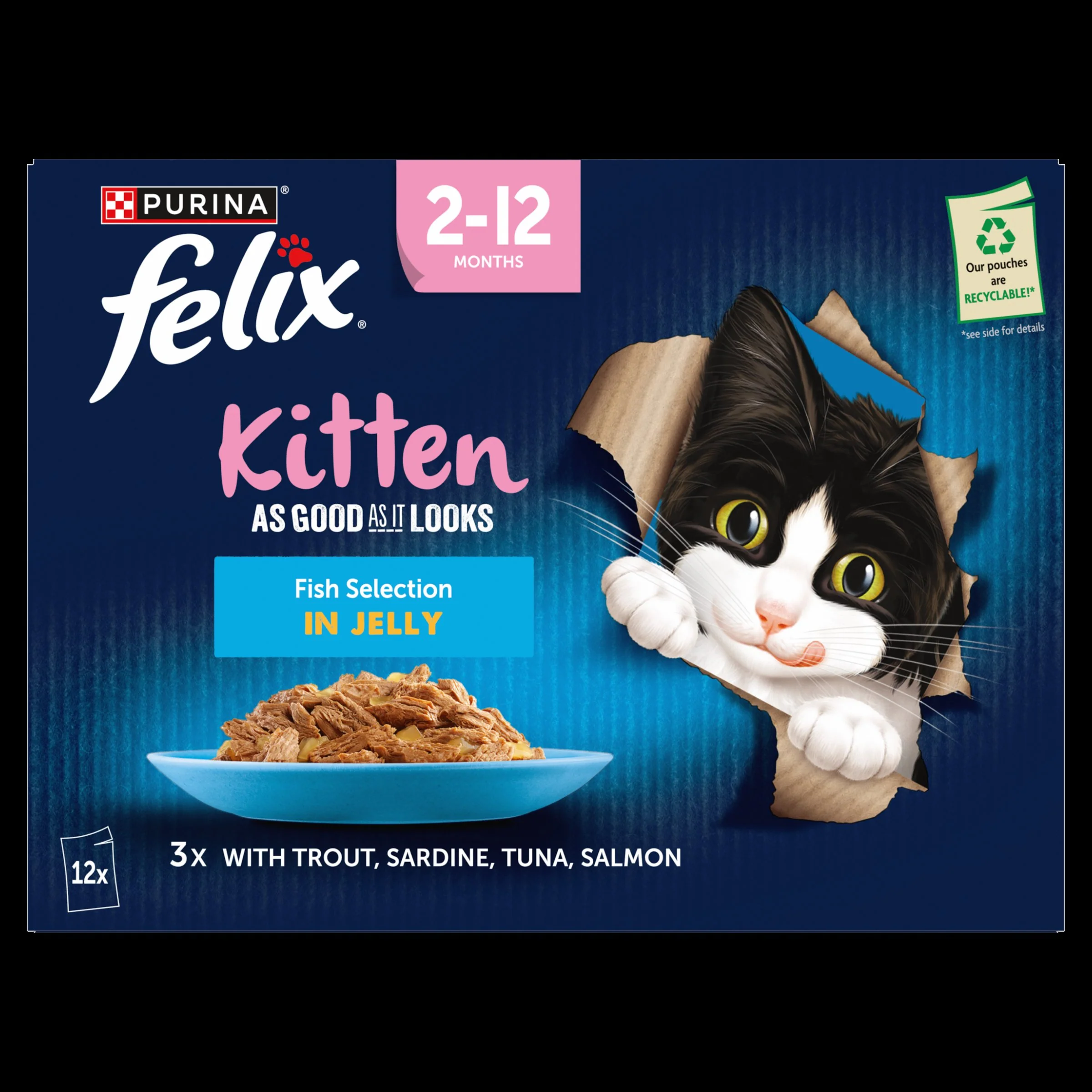 Felix As Good As it Looks Kitten Fish in Jelly Wet Cat Food - Image 11