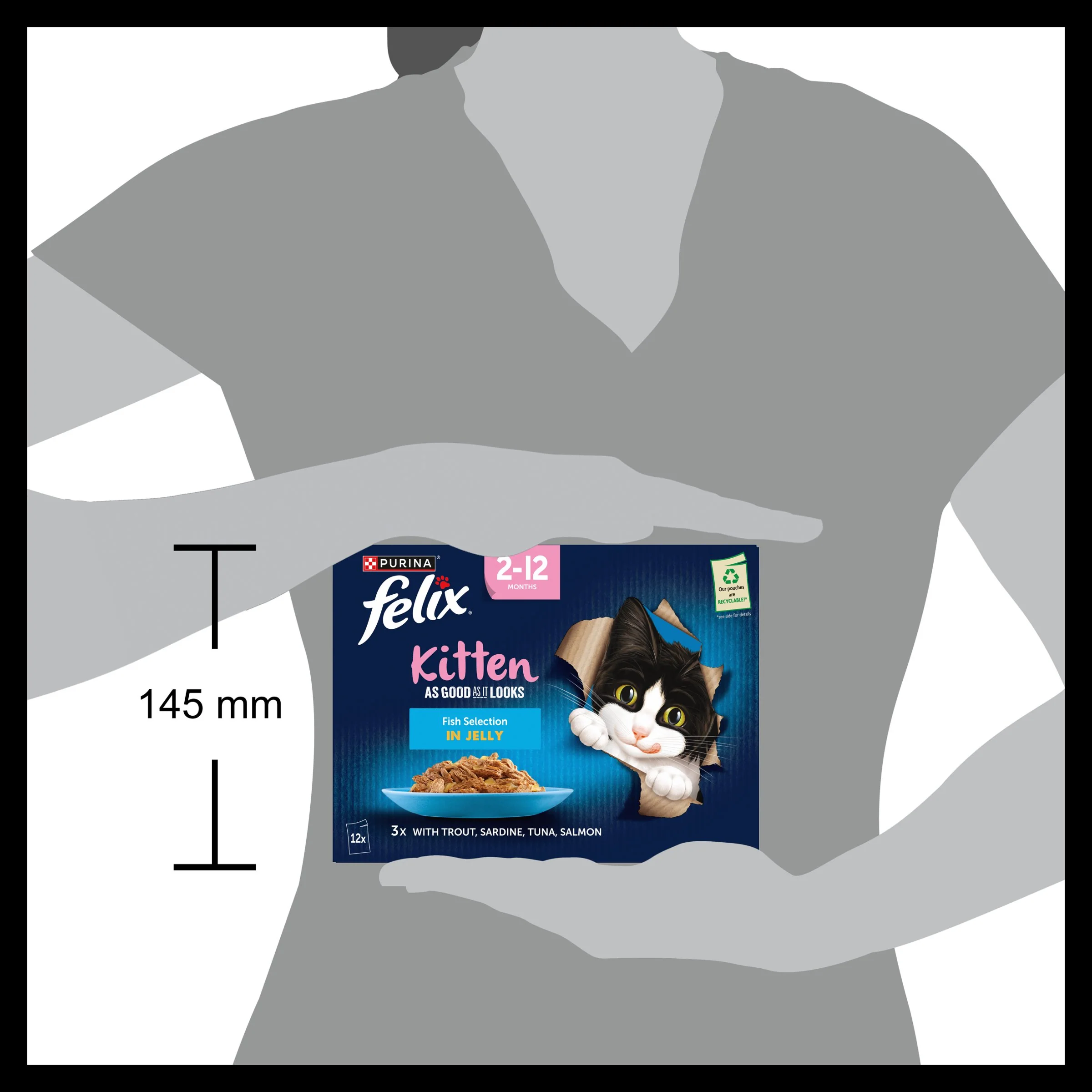 Felix As Good As it Looks Kitten Fish in Jelly Wet Cat Food - Image 3