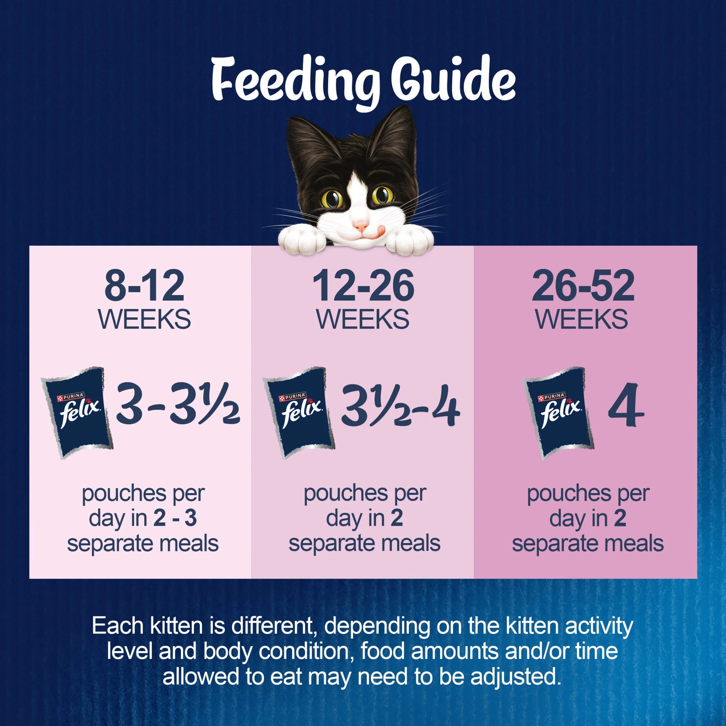 Felix As Good As it Looks Kitten Fish in Jelly Wet Cat Food - Image 6