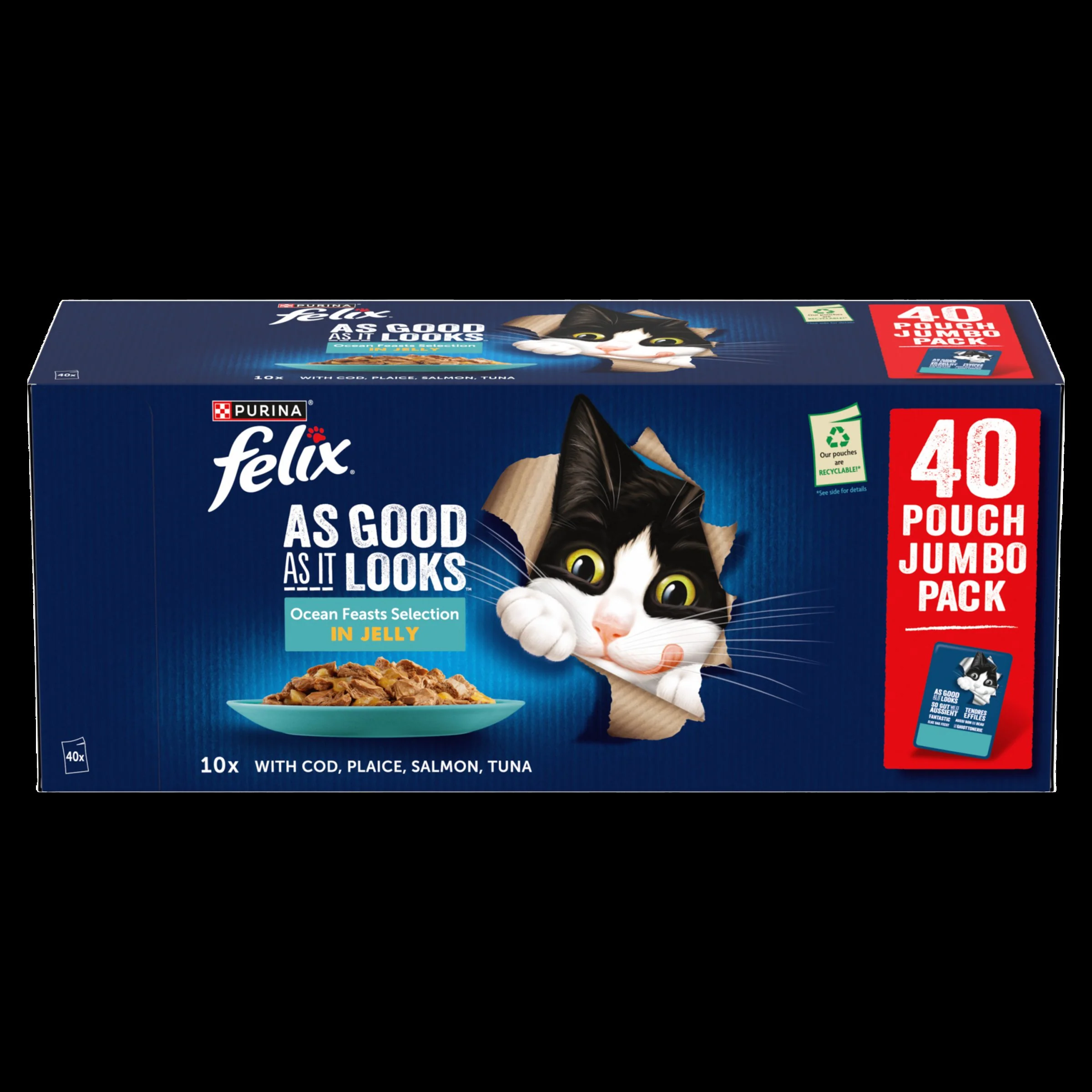 Felix As Good As it Looks Ocean Feasts Wet Cat Food - Image 13
