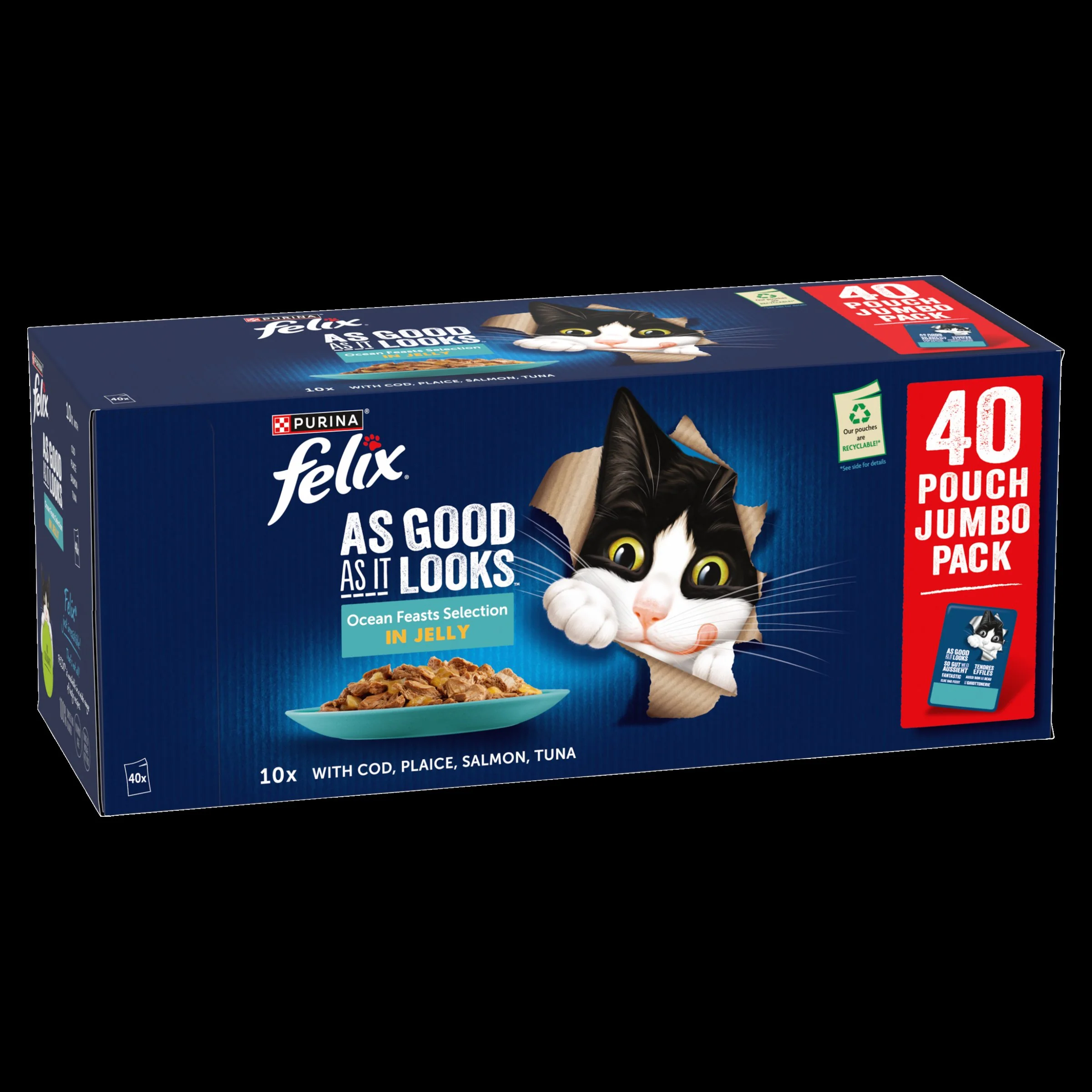 Felix As Good As it Looks Ocean Feasts Wet Cat Food - Image 14
