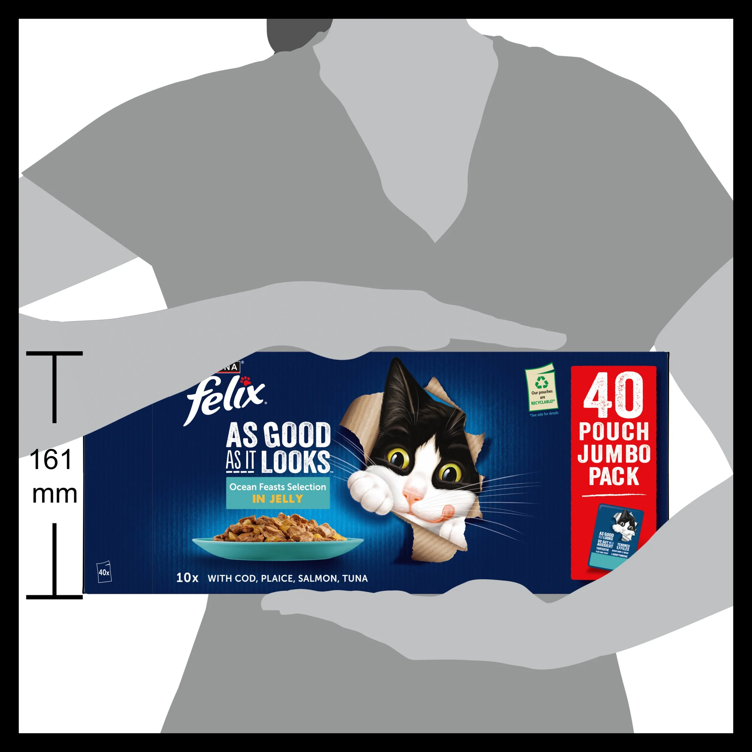 Felix As Good As it Looks Ocean Feasts Wet Cat Food - Image 17