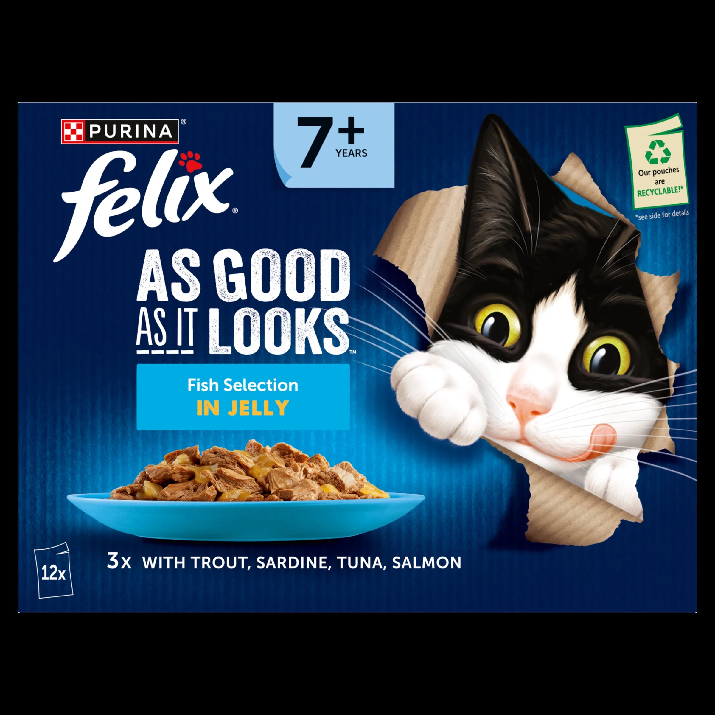 Felix As Good As it Looks Senior 7+ Fish in Jelly Wet Cat Food - Image 10