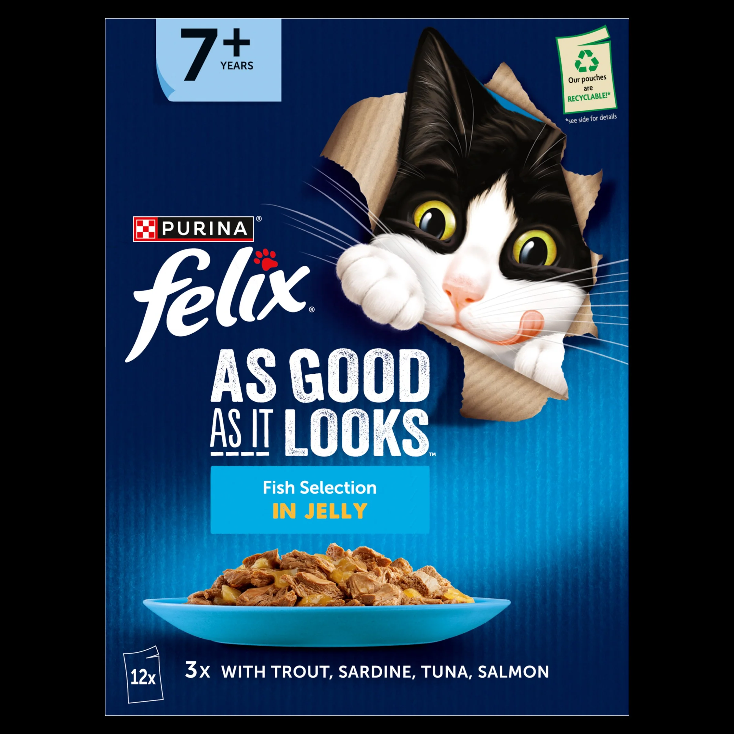 Felix As Good As it Looks Senior 7+ Fish in Jelly Wet Cat Food - Image 11