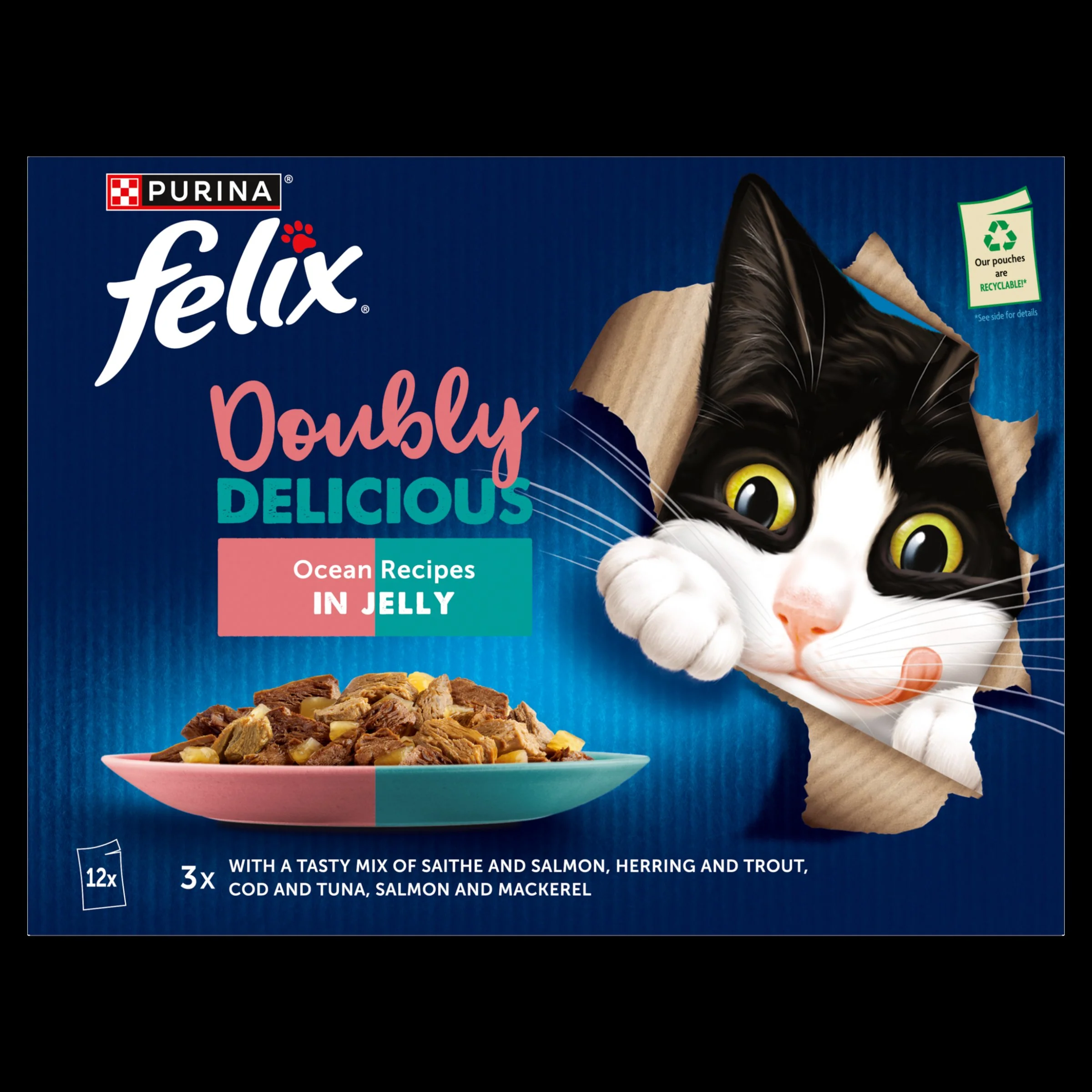Felix Doubly Delicious Ocean Recipes in Jelly Wet Cat Food - Image 10