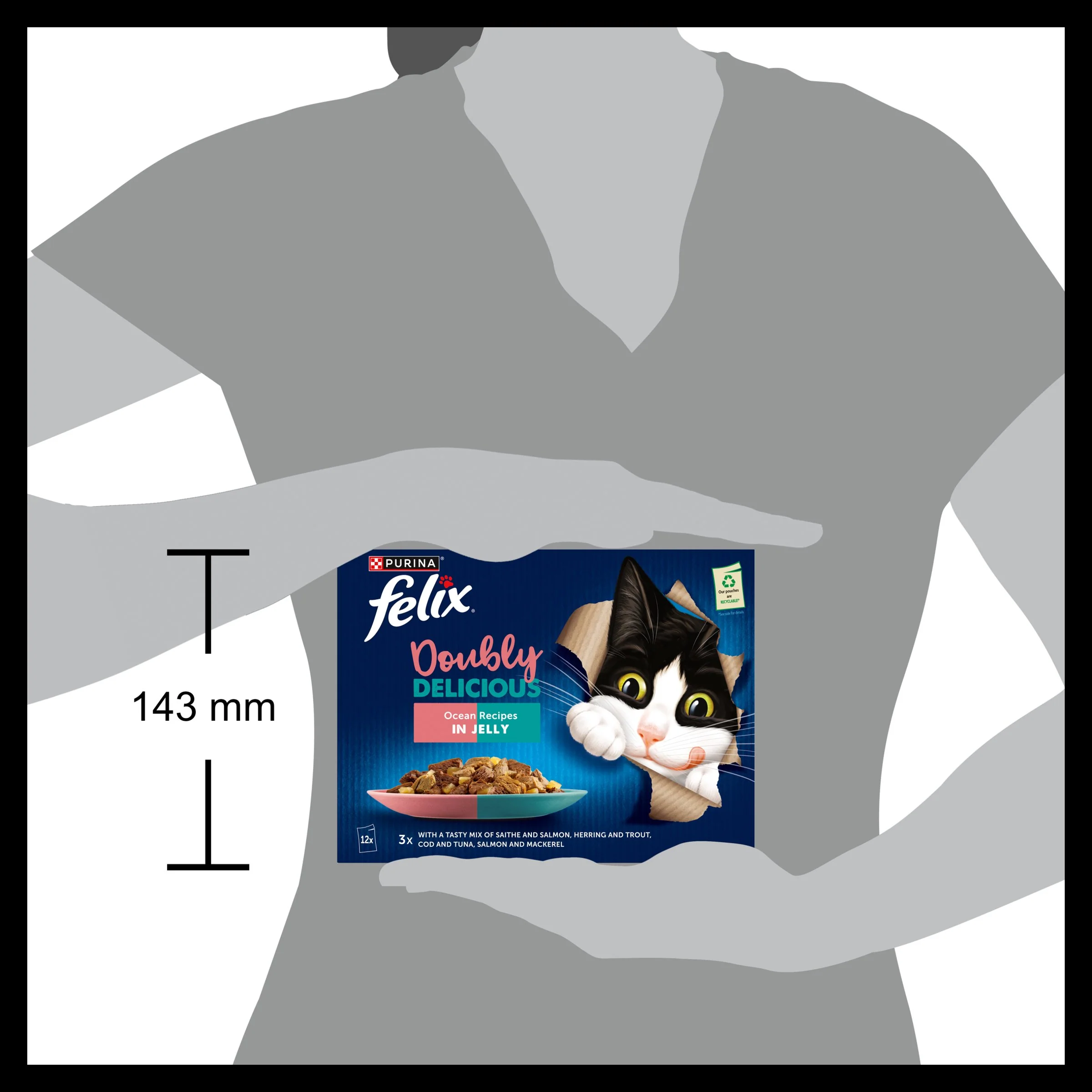 Felix Doubly Delicious Ocean Recipes in Jelly Wet Cat Food - Image 3
