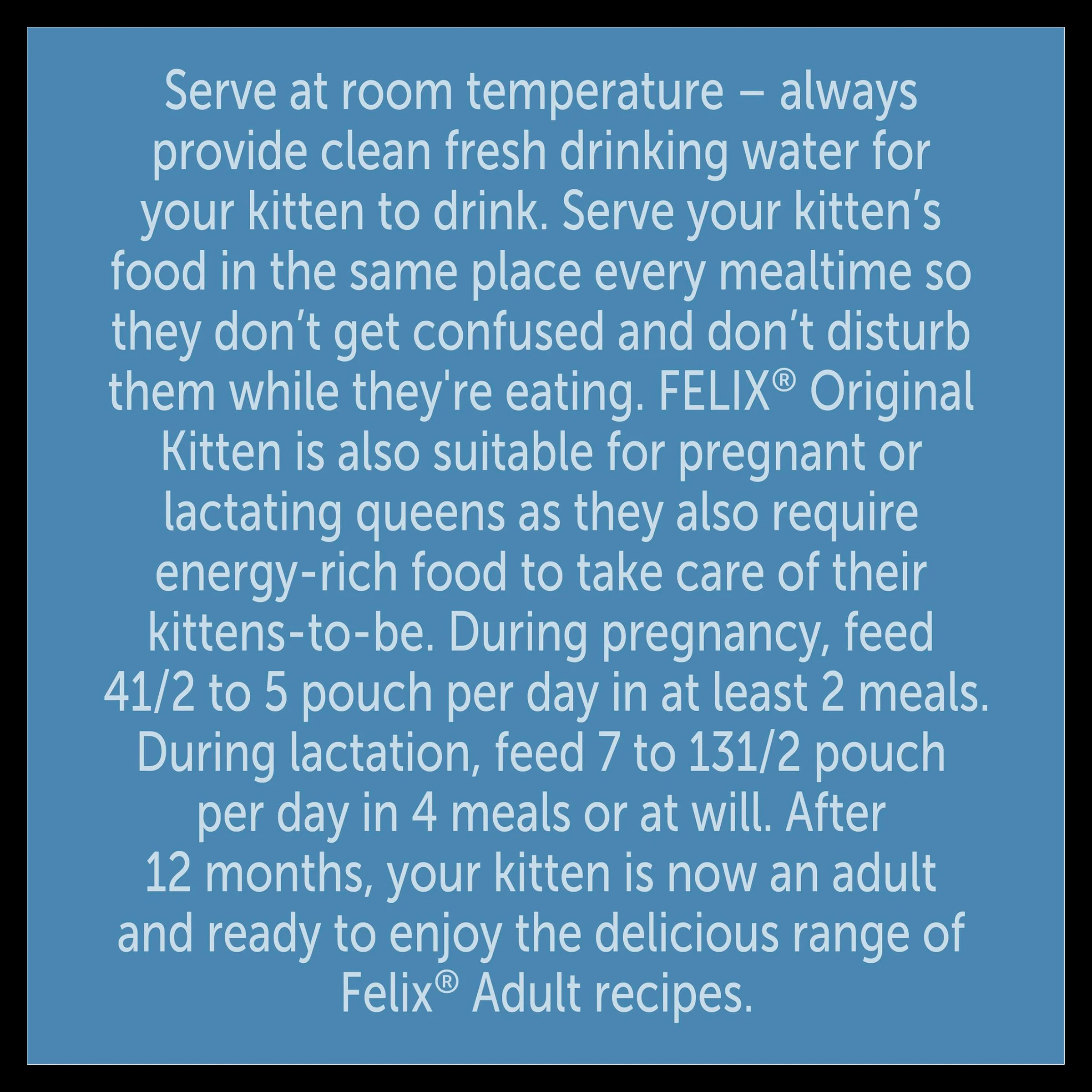 Felix Original Kitten Fish Selection in Jelly Wet Cat Food - Image 3