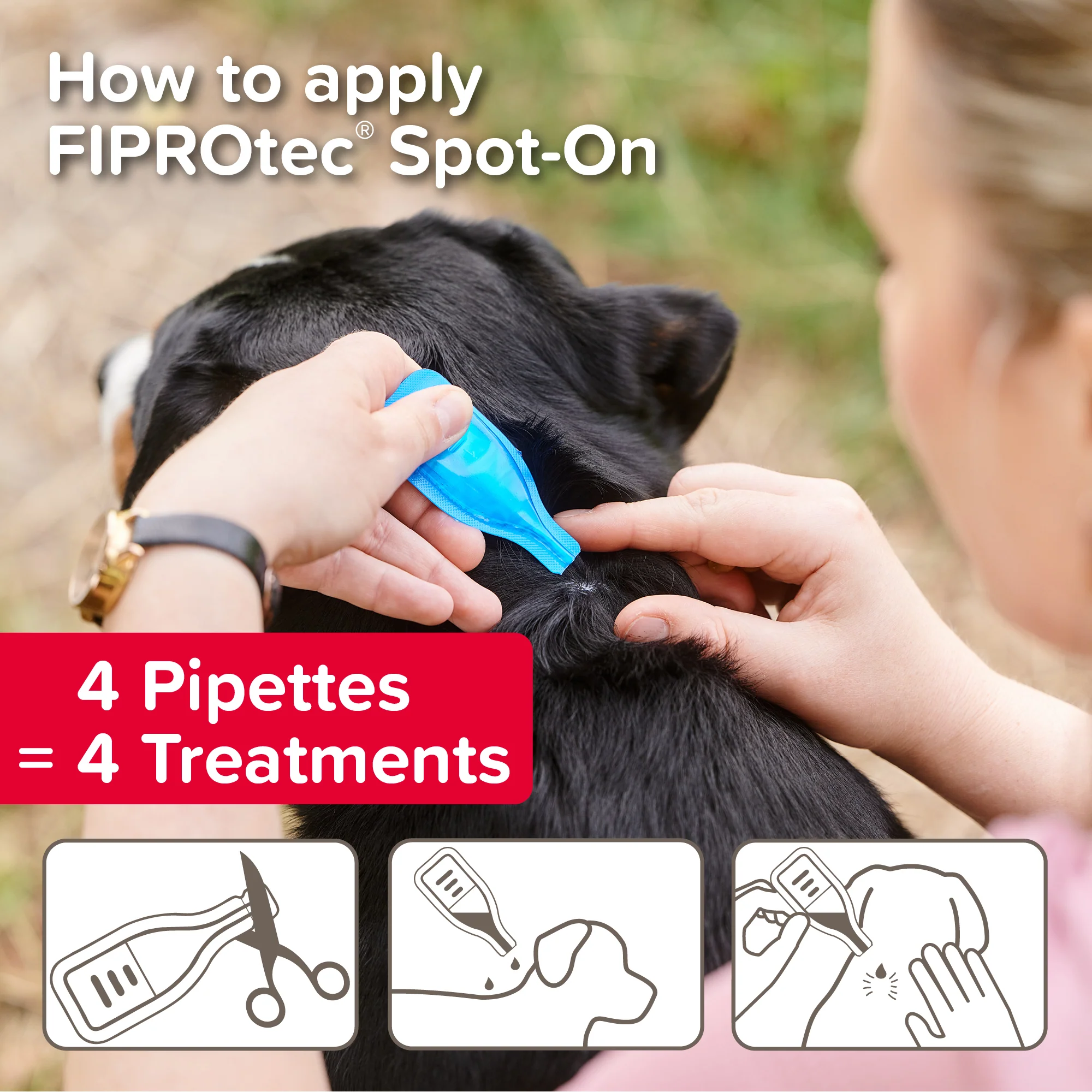 Beaphar Fiprotec Spot On Large Dog Pipettes - Image 3