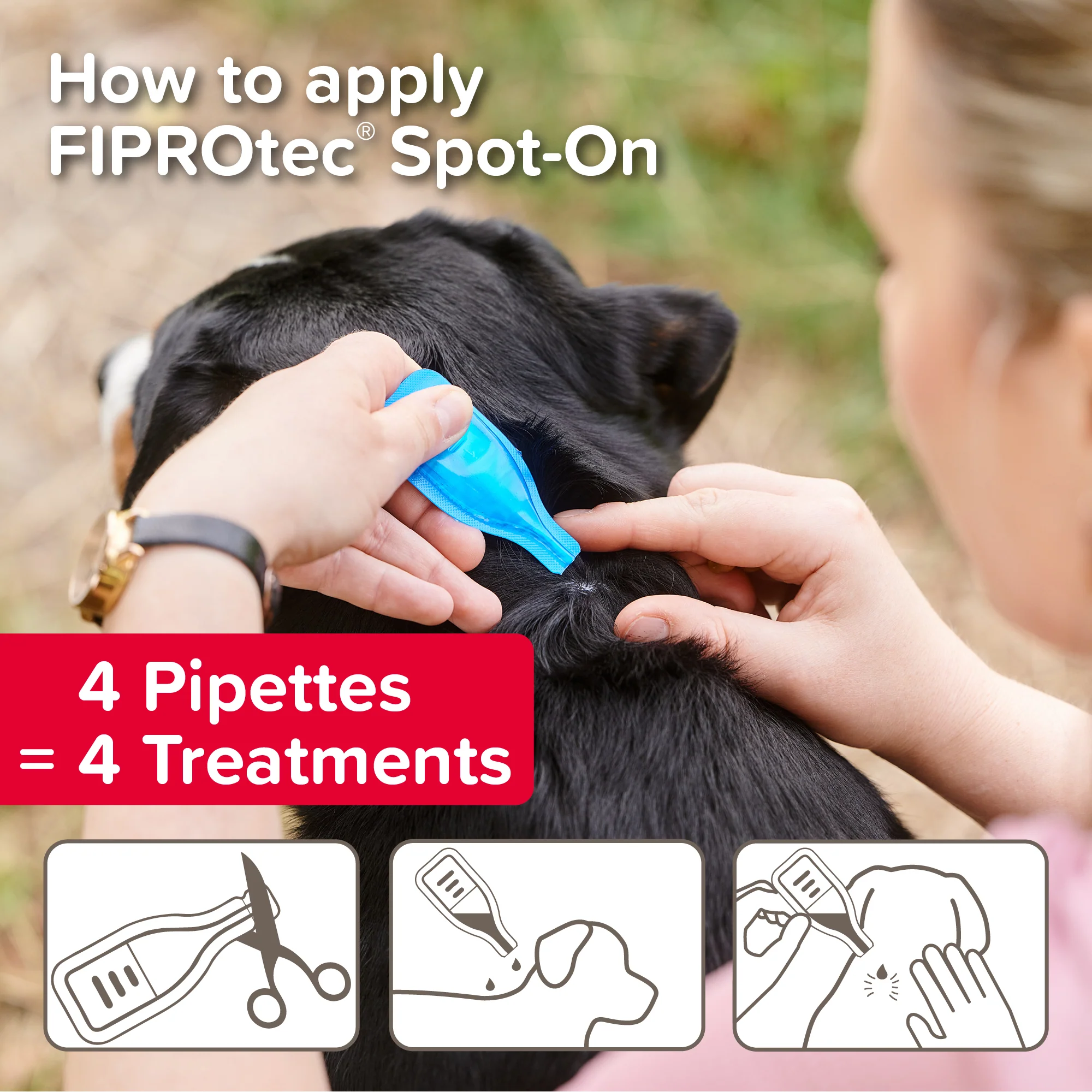 Beaphar Fiprotec Spot On Small Dog Pipettes - Image 4
