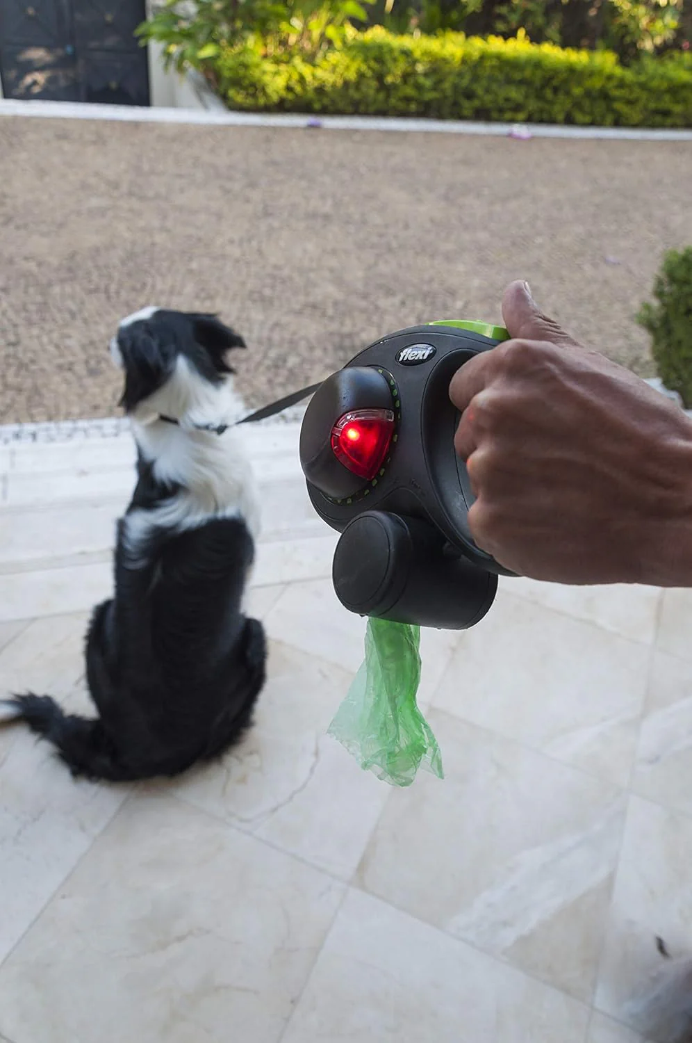 Flexi Accessories LED Black Dog Lighting System - Image 4