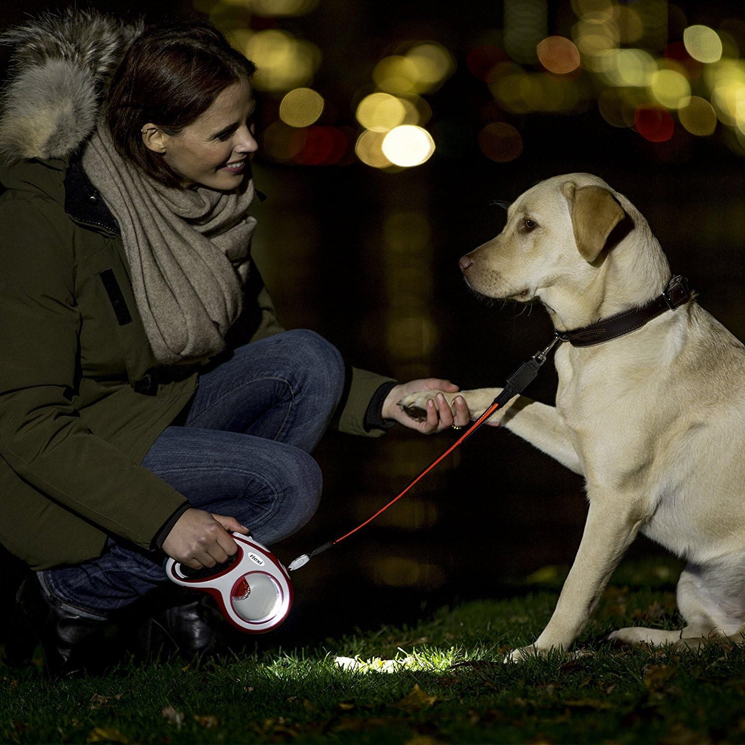 Flexi Accessories LED Black Dog Lighting System - Image 5