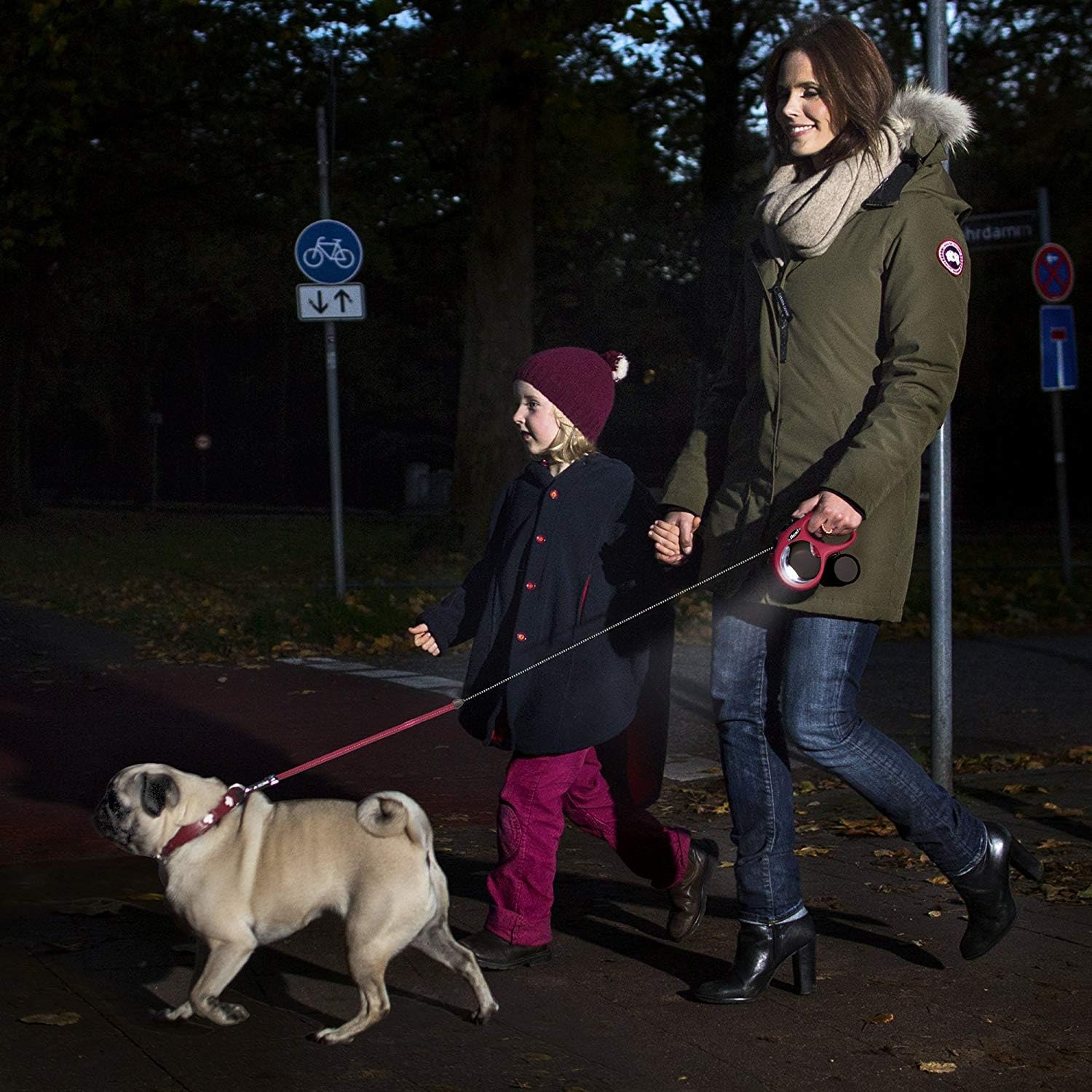 Flexi Accessories LED Black Dog Lighting System - Image 6