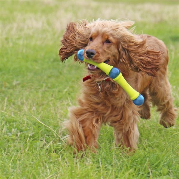 Foaber Fusion Molecule Dog Toy - Image 2