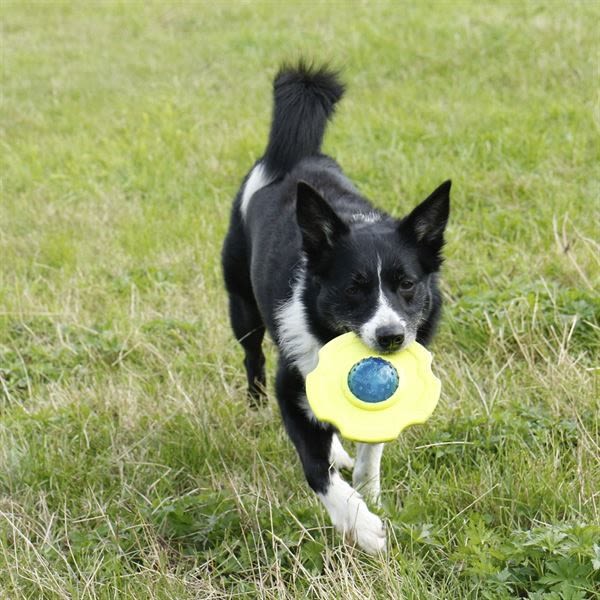 Foaber Fusion Nucleus 2in1 Dog Toy - Image 3