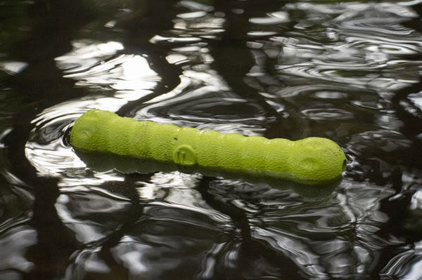 Foaber Stick Foam Rubber Dog Toy Green - Image 3