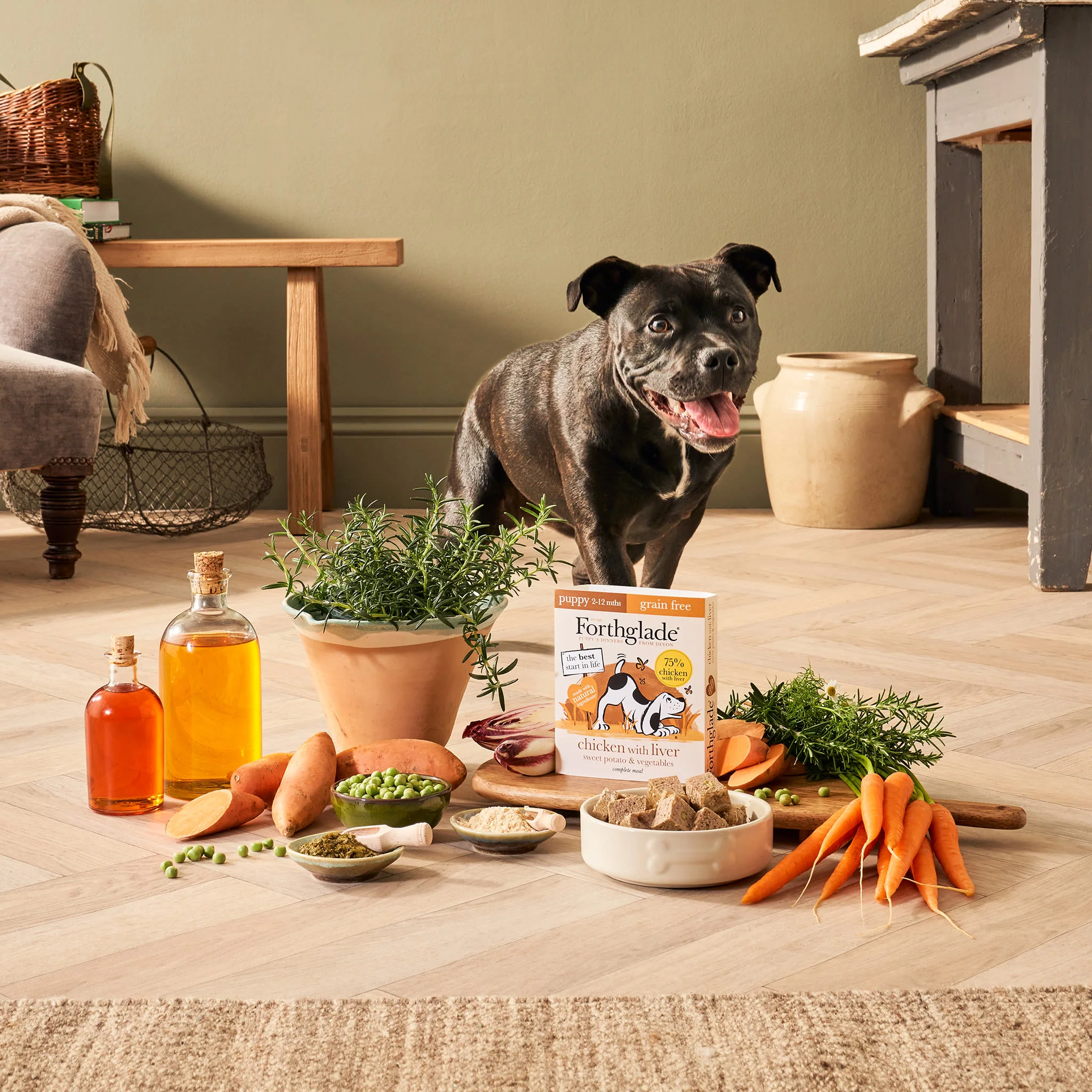 Forthglade Complete Meal Grain-free Puppy Wet Dog Food - Chicken with Liver, Sweet potato & Vegetables - Image 4