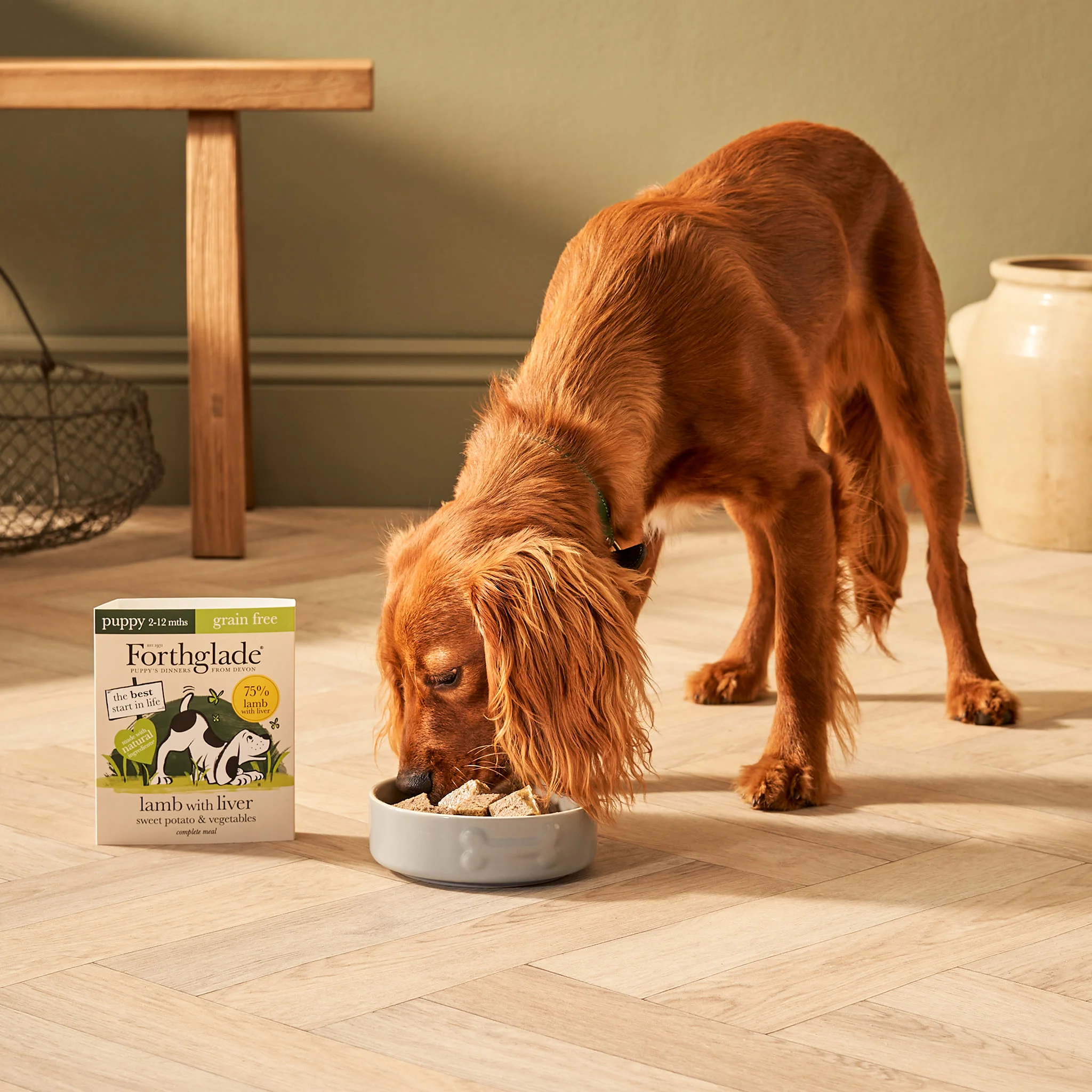 Forthglade Complete Meal Grain-free Puppy Wet Dog Food - Lamb with Liver, Sweet potato & Vegetables - Image 4
