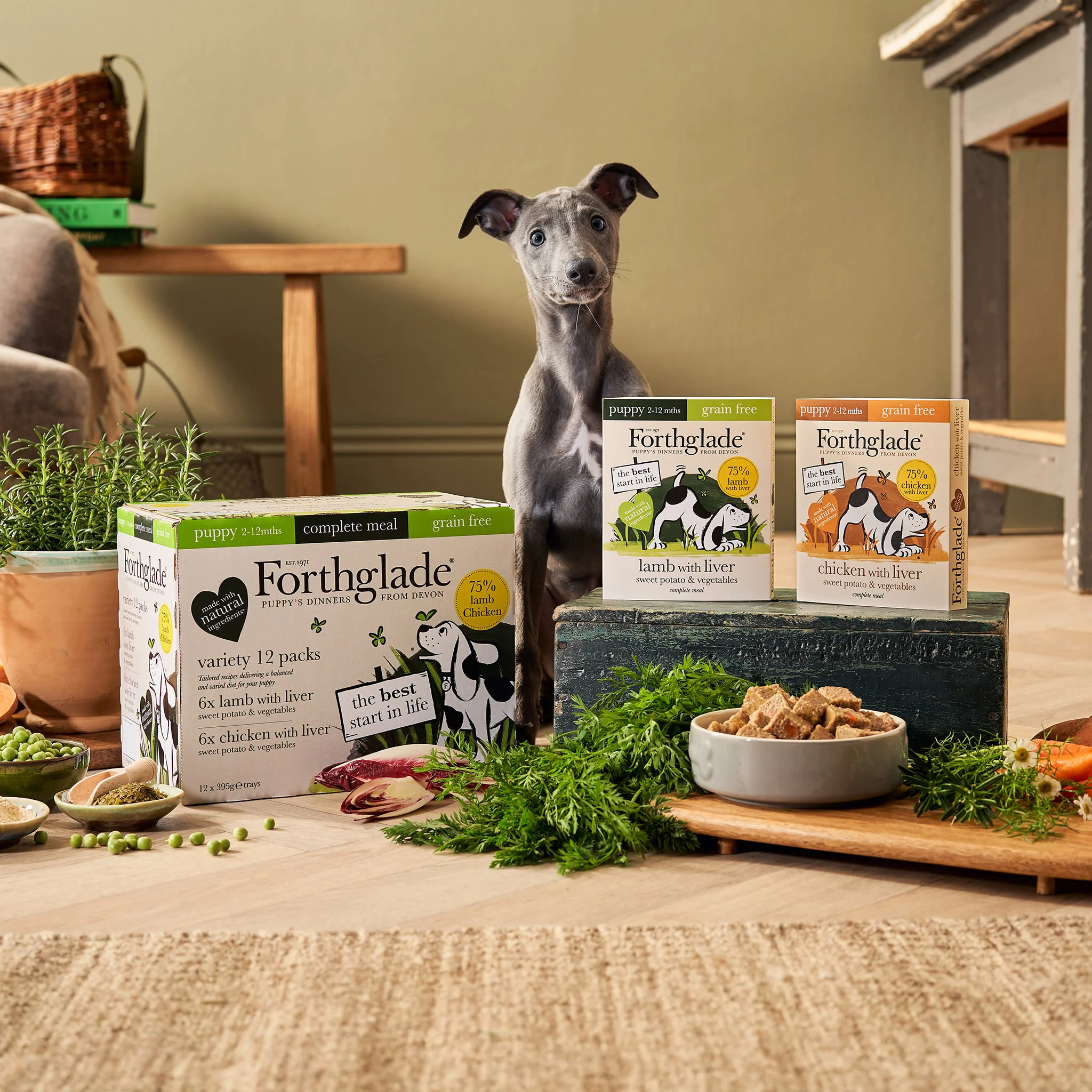 Forthglade Complete Meal Grain-free Puppy Wet Dog Food - Variety Pack - Image 6