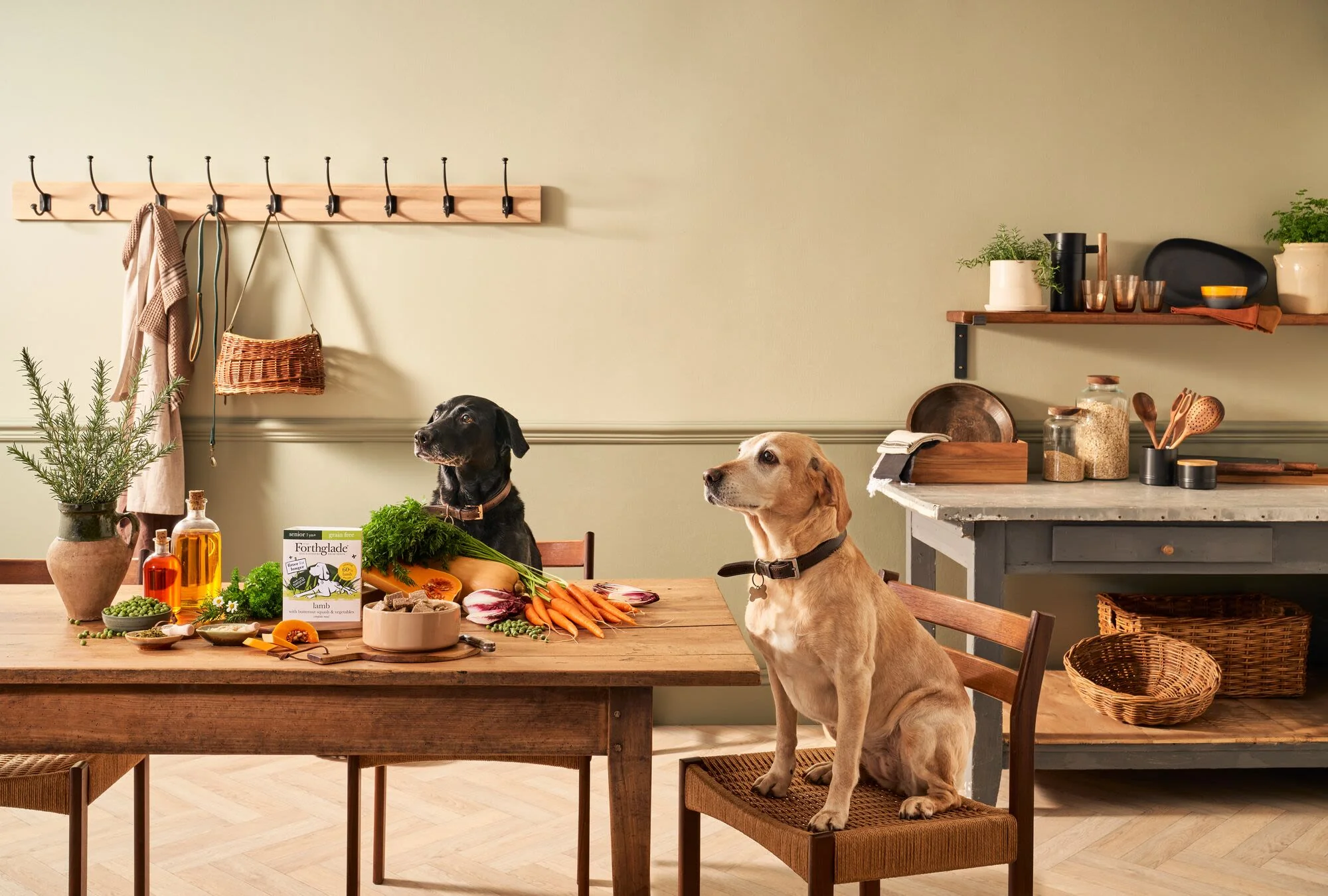 Forthglade Complete Meal Grain-free Senior Wet Dog Food - Lamb with Butternut squash & Vegetables - Image 4