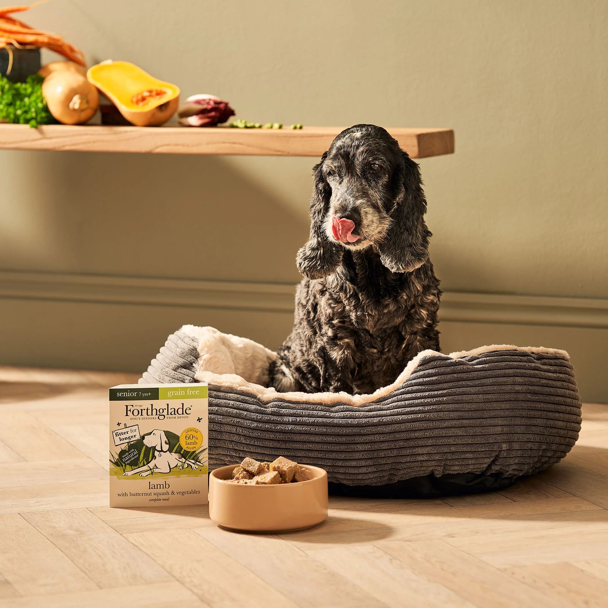 Forthglade Complete Meal Grain-free Senior Wet Dog Food - Lamb with Butternut squash & Vegetables - Image 6