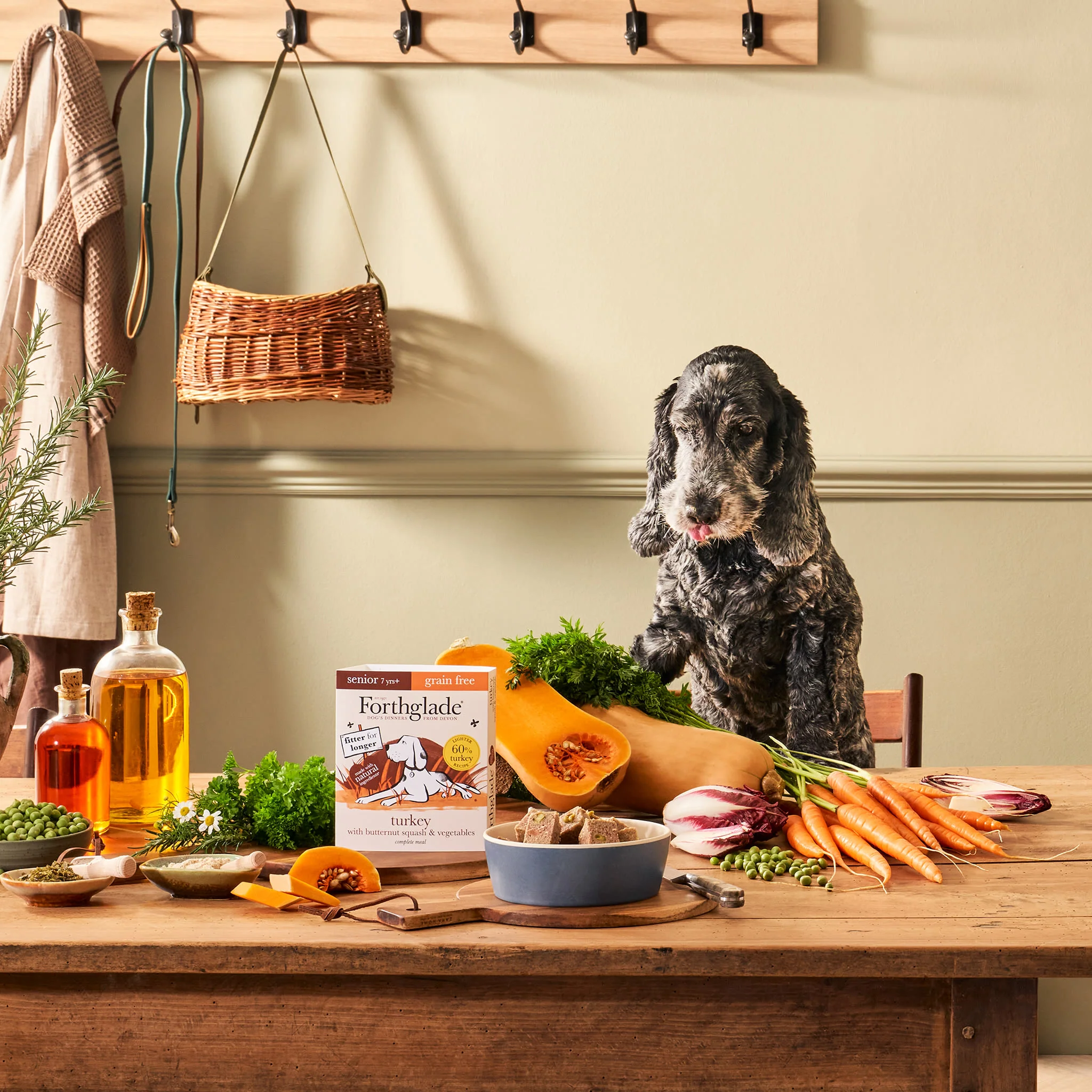 Forthglade Complete Meal Grain-free Senior Wet Dog Food - Turkey with Butternut squash & Vegetables - Image 6