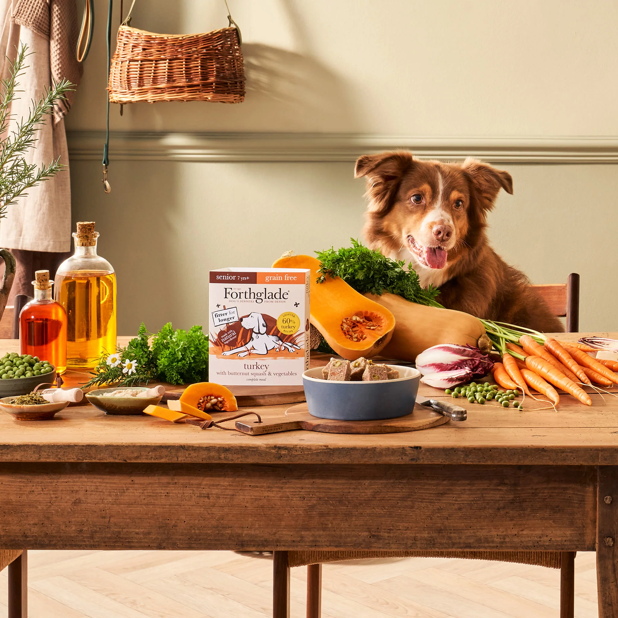 Forthglade Complete Meal Grain-free Senior Wet Dog Food - Turkey with Butternut squash & Vegetables - Image 8