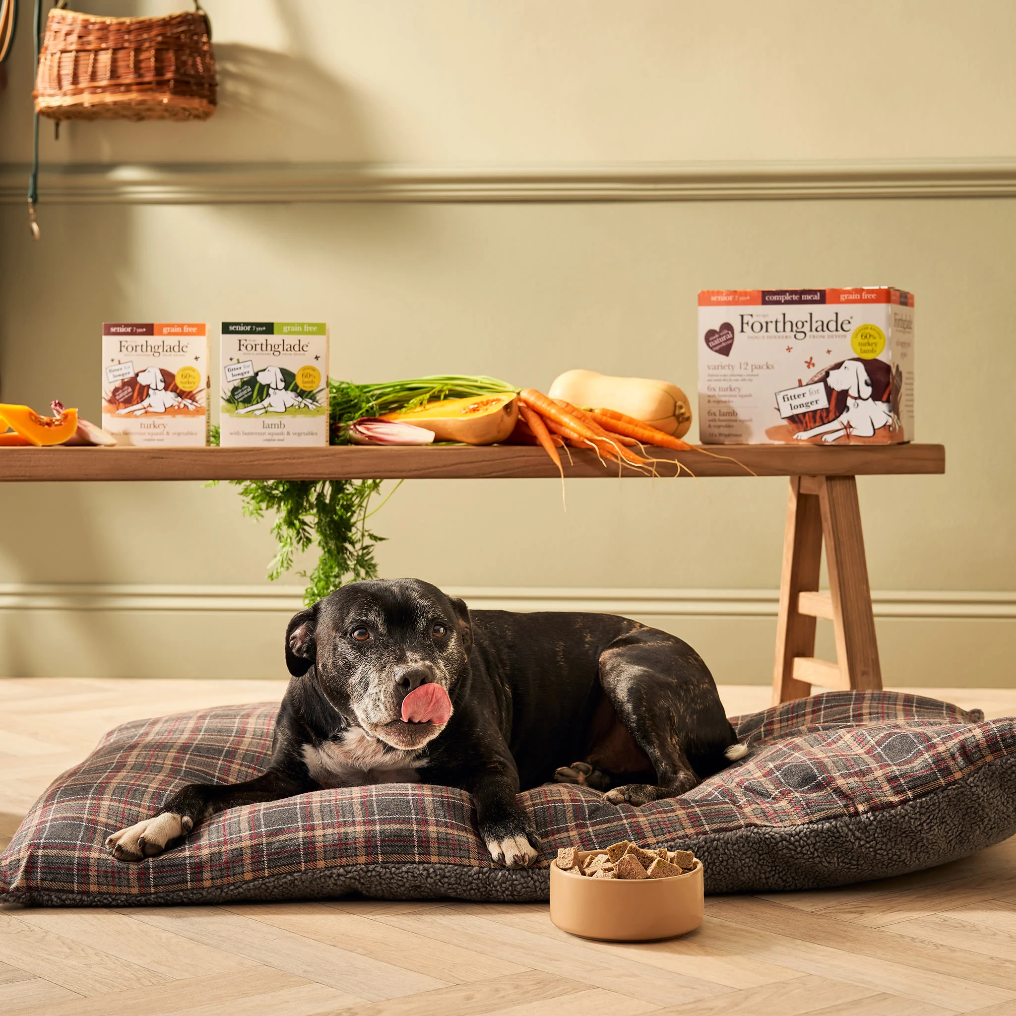 Forthglade Complete Meal Grain-free Senior Wet Dog Food - Variety Pack - Image 7