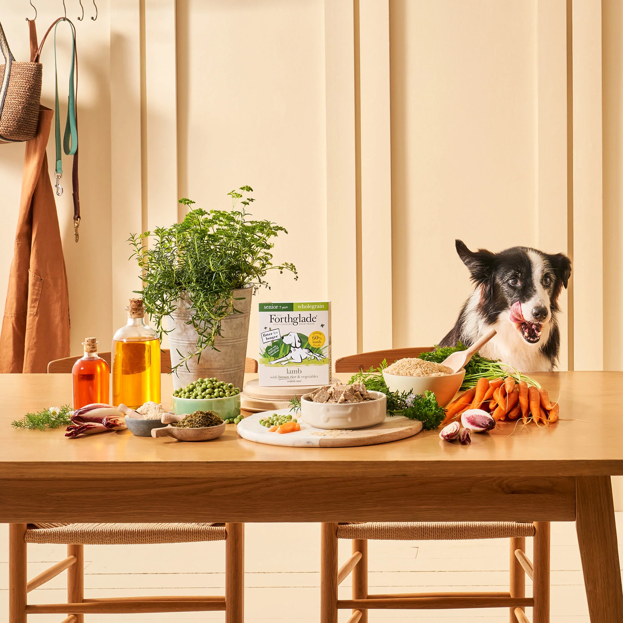 Forthglade Complete Meal Wholegrain Senior Wet Dog Food - Lamb with Brown rice & Vegetables - Image 6