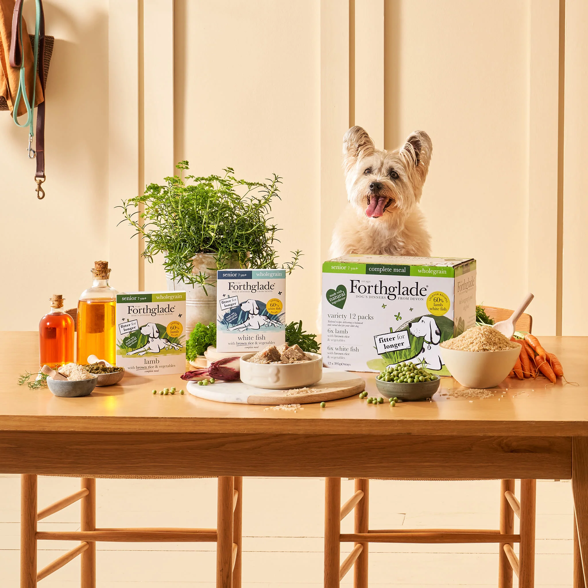 Forthglade Complete Meal Wholegrain Senior Wet Dog Food - Variety Pack - Image 4