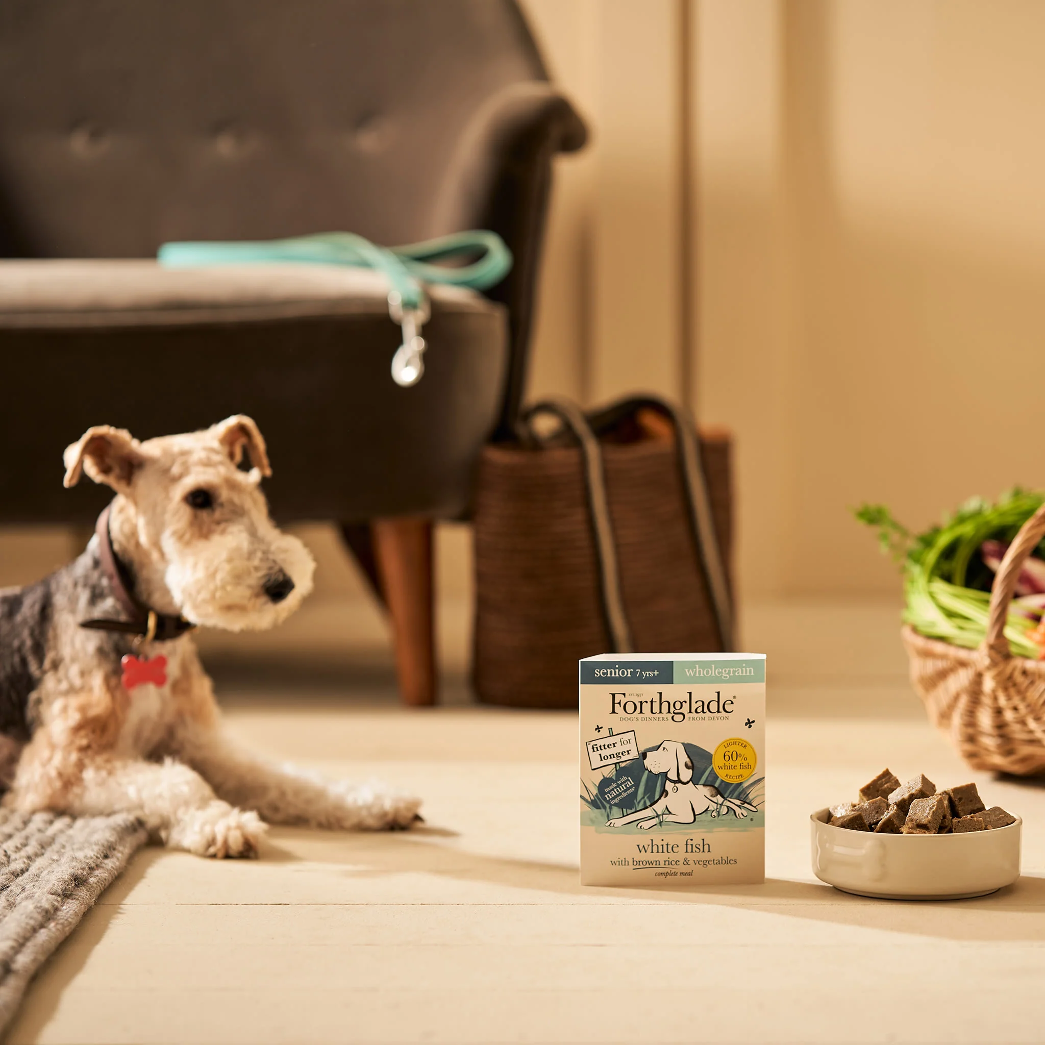 Forthglade Complete Meal Wholegrain Senior Wet Dog Food - White Fish with Brown rice & Vegetables - Image 8