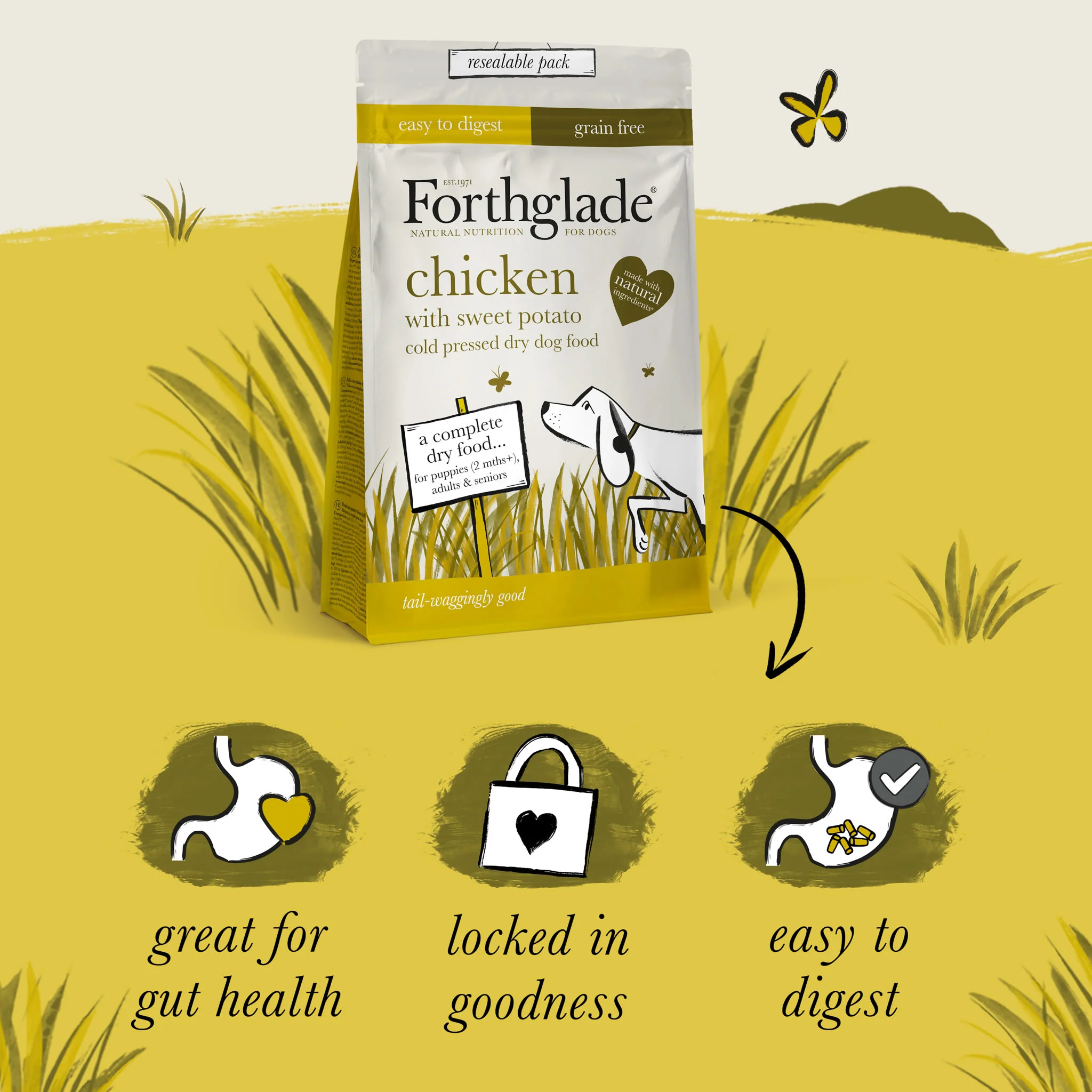 ForthgladeĀ Complete Natural Cold Pressed Dry Dog Food - Chicken with Sweet Potato 10kg - Image 3