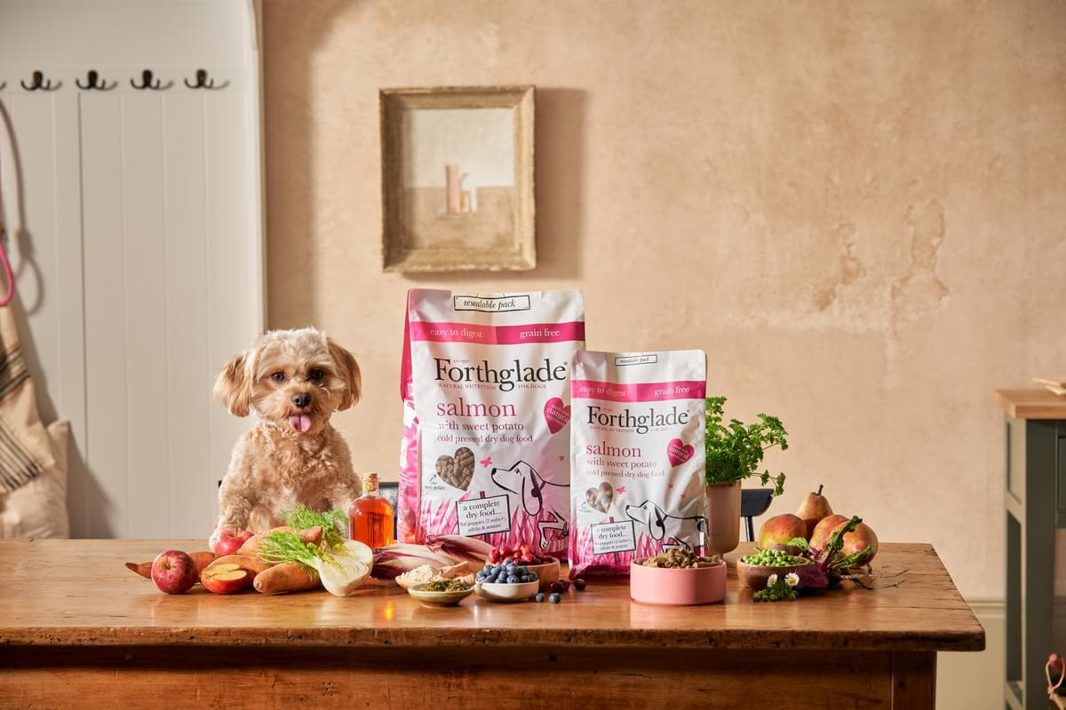 ForthgladeĀ Complete Natural Cold Pressed Dry Dog Food - Salmon with Sweet Potato - Image 10