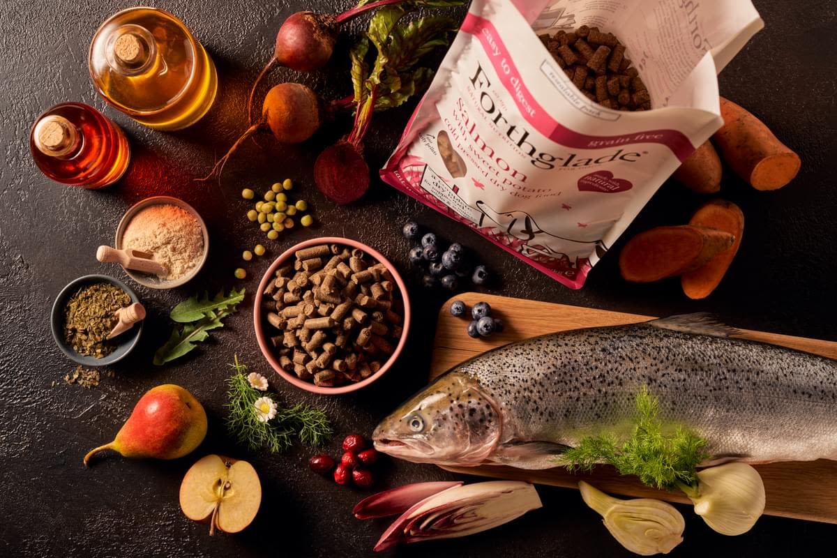 ForthgladeĀ Complete Natural Cold Pressed Dry Dog Food - Salmon with Sweet Potato - Image 11