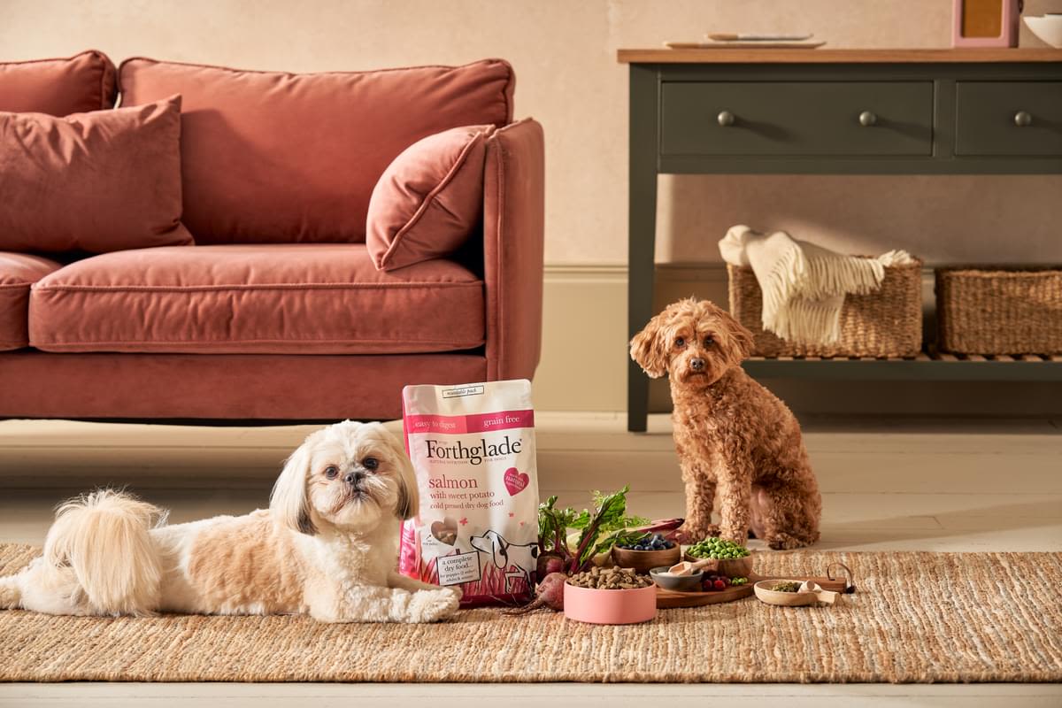 ForthgladeĀ Complete Natural Cold Pressed Dry Dog Food - Salmon with Sweet Potato - Image 12