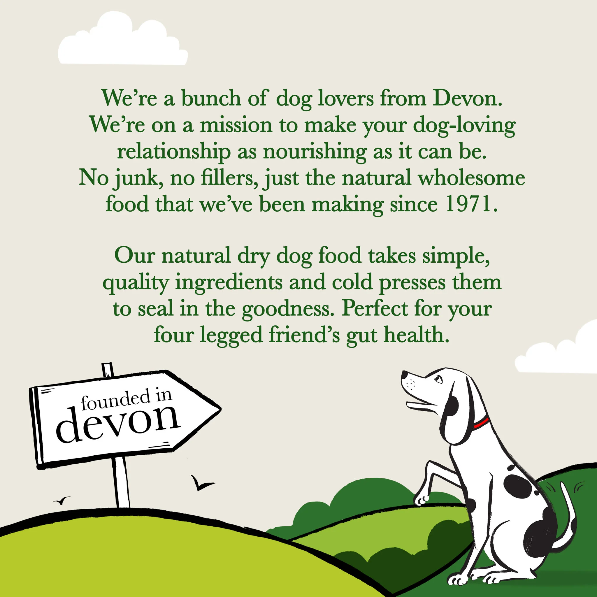 ForthgladeĀ Complete Natural Cold Pressed Dry Dog Food - Salmon with Sweet Potato - Image 17