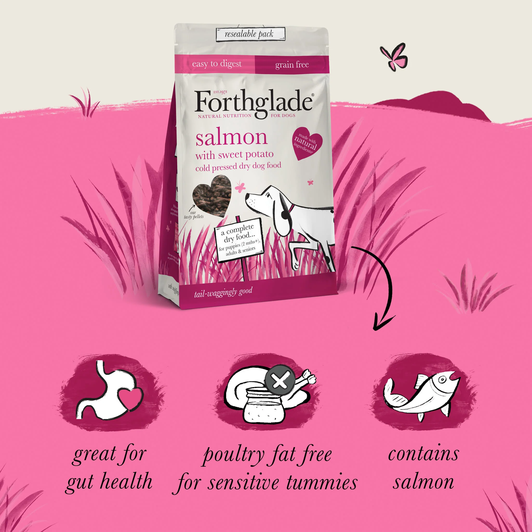 ForthgladeĀ Complete Natural Cold Pressed Dry Dog Food - Salmon with Sweet Potato - Image 4