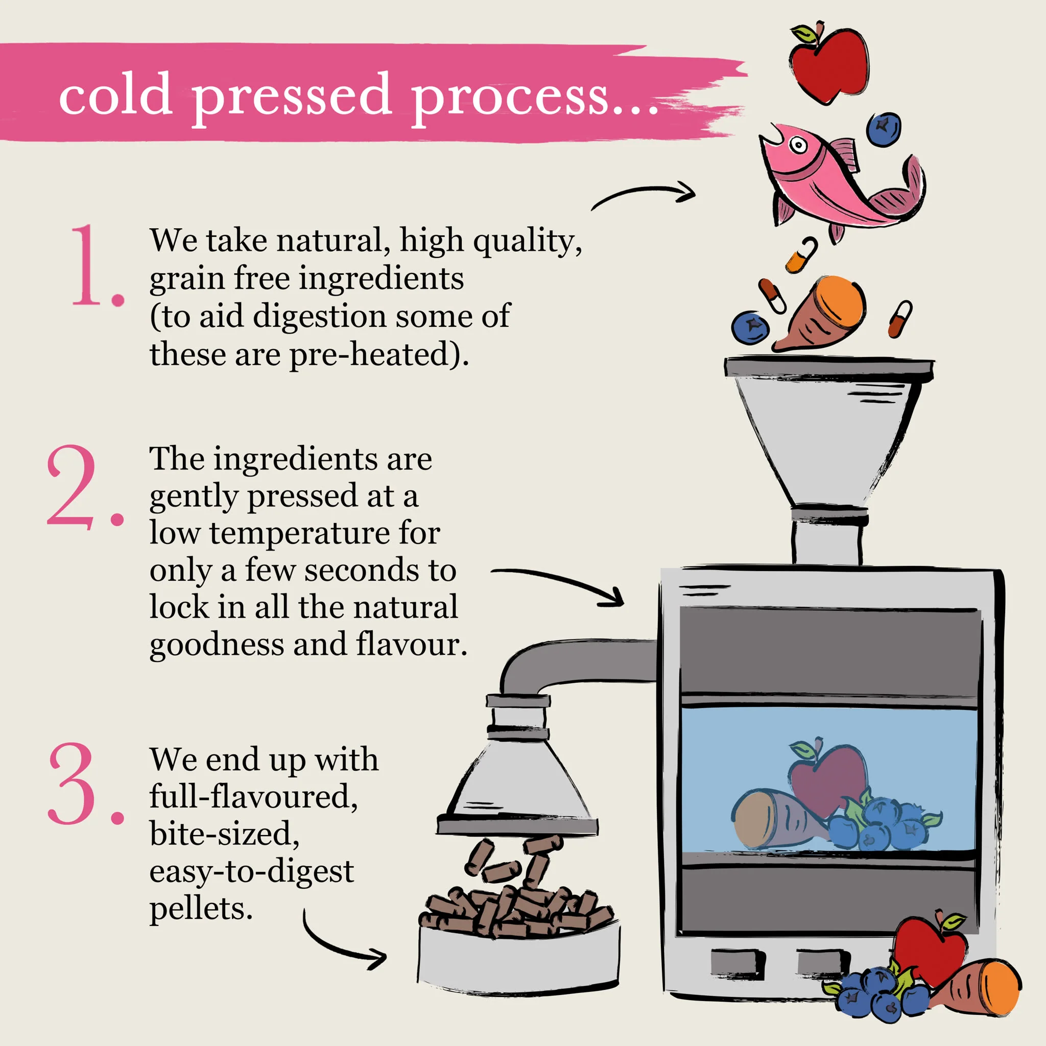 ForthgladeĀ Complete Natural Cold Pressed Dry Dog Food - Salmon with Sweet Potato - Image 7