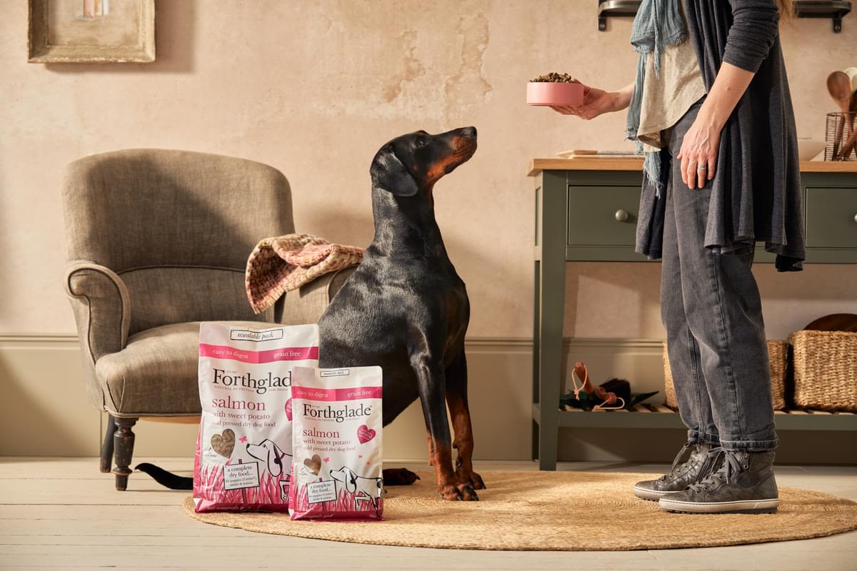 ForthgladeĀ Complete Natural Cold Pressed Dry Dog Food - Salmon with Sweet Potato - Image 9