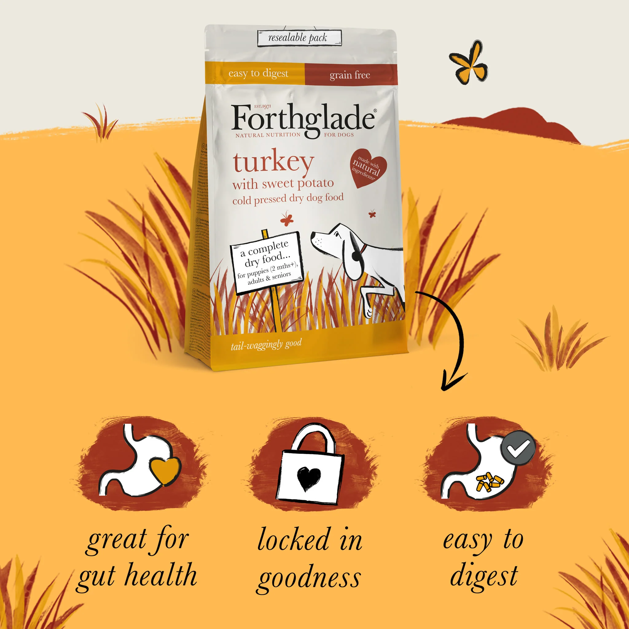 ForthgladeĀ Complete Natural Cold Pressed Dry Dog Food - Turkey with Sweet Potato 10kg - Image 4