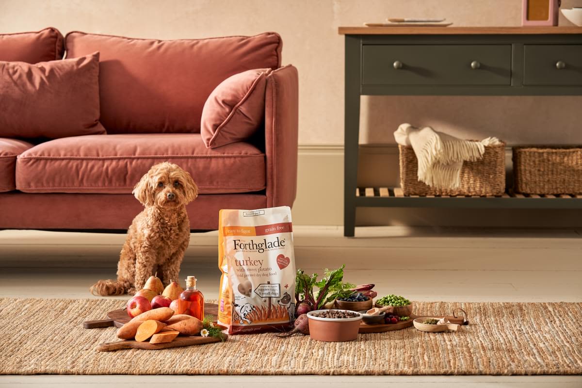 ForthgladeĀ Complete Natural Cold Pressed Small Dry Dog Food - Turkey with Sweet Potato - Image 10