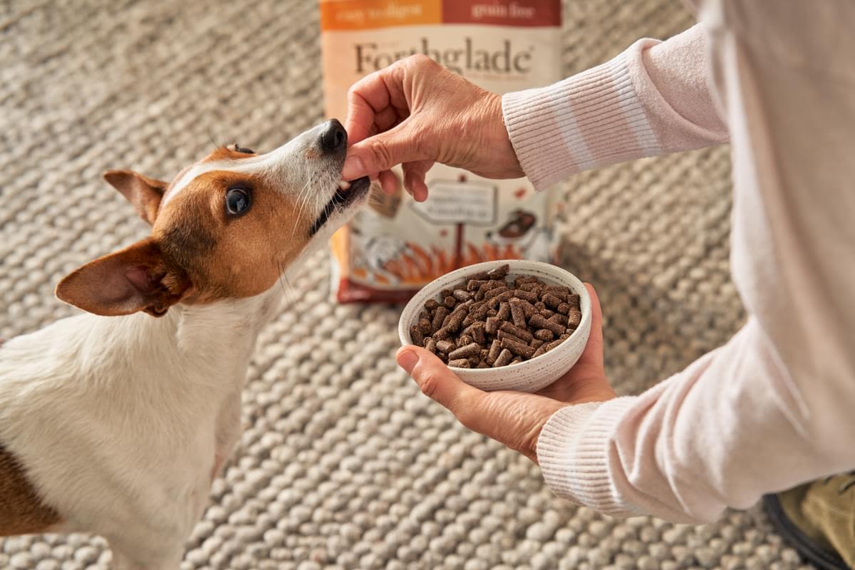 ForthgladeĀ Complete Natural Cold Pressed Small Dry Dog Food - Turkey with Sweet Potato - Image 12