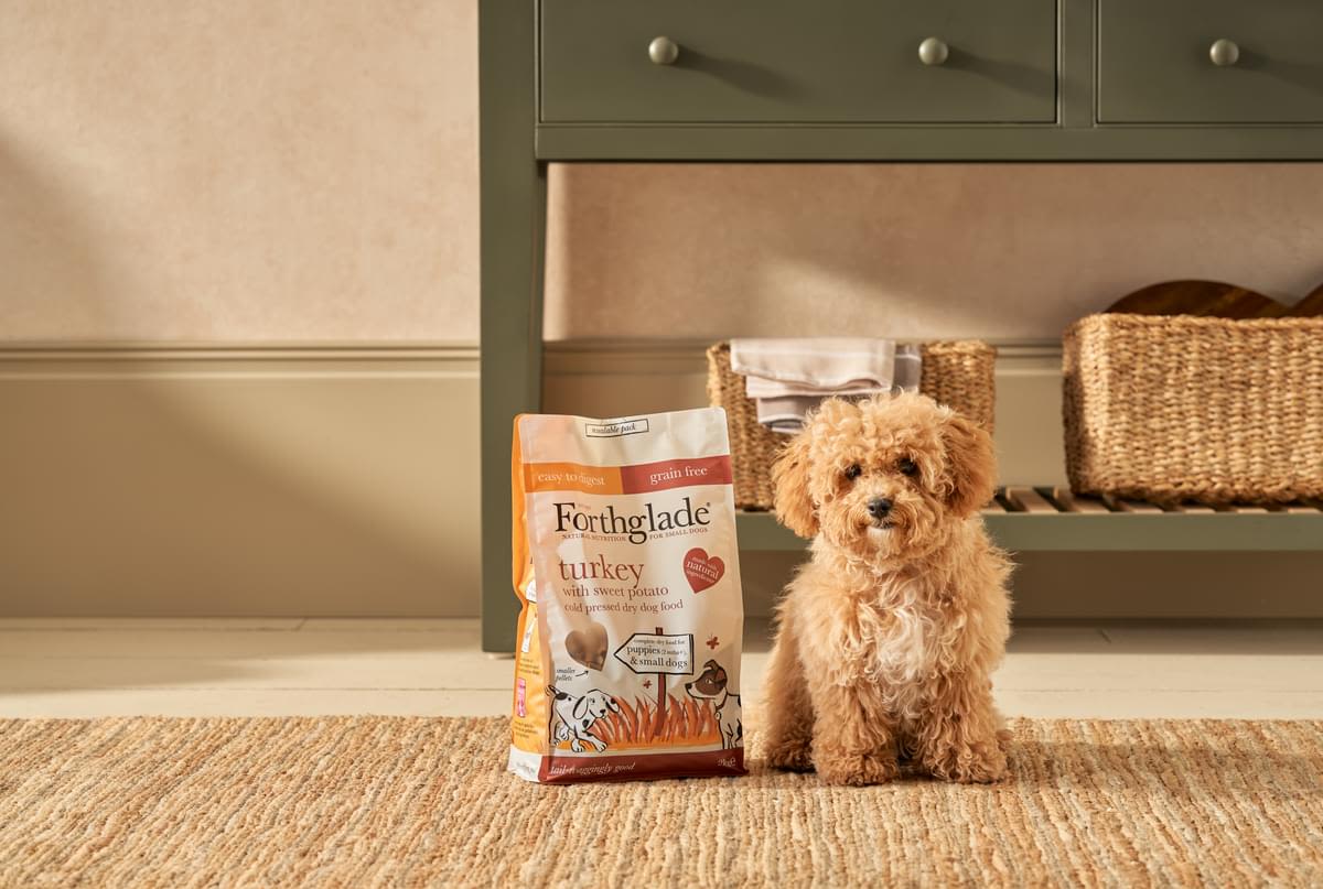 ForthgladeĀ Complete Natural Cold Pressed Small Dry Dog Food - Turkey with Sweet Potato - Image 13
